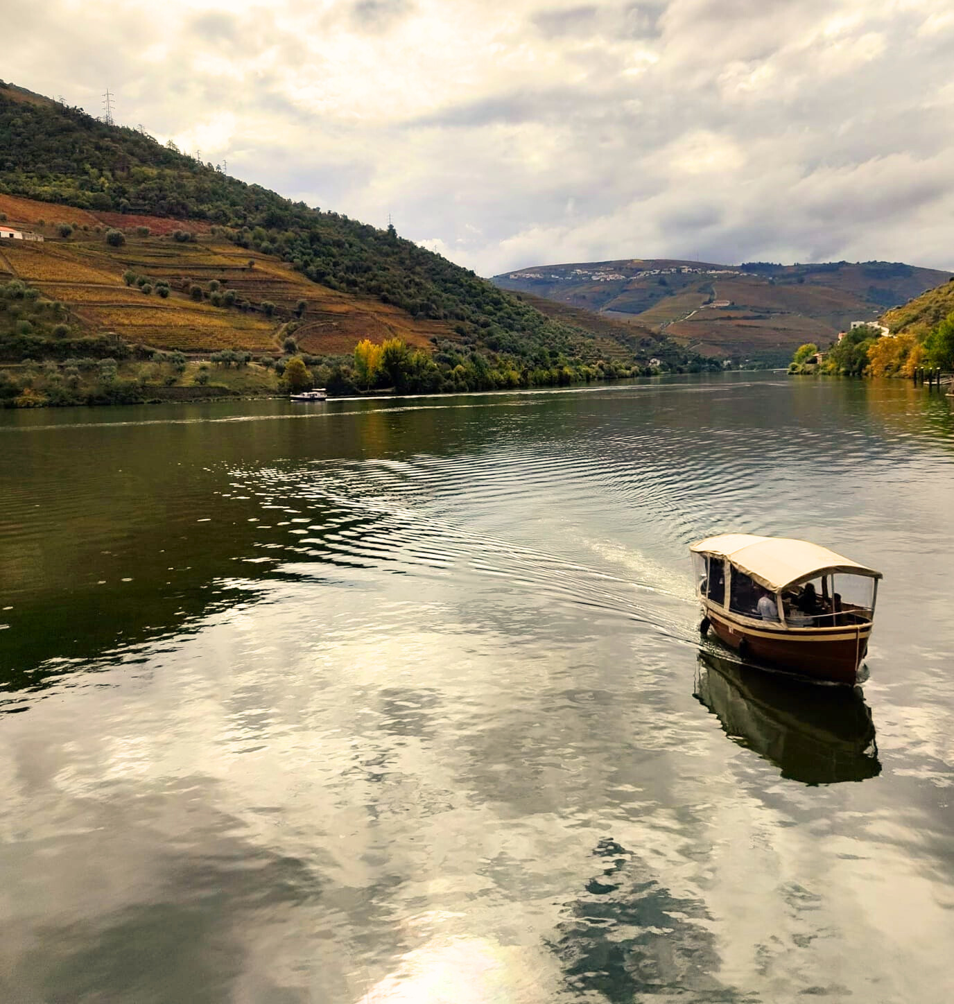 Douro Valley Small-Group Wine & Boat Tour from Porto