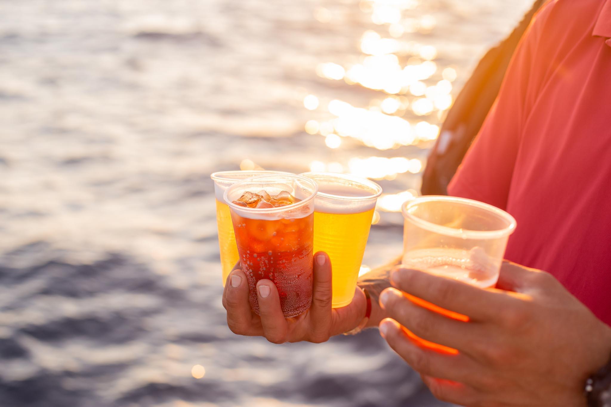 Cabo San Lucas Sunset Catamaran Cruise with Open Bar & Appetizers