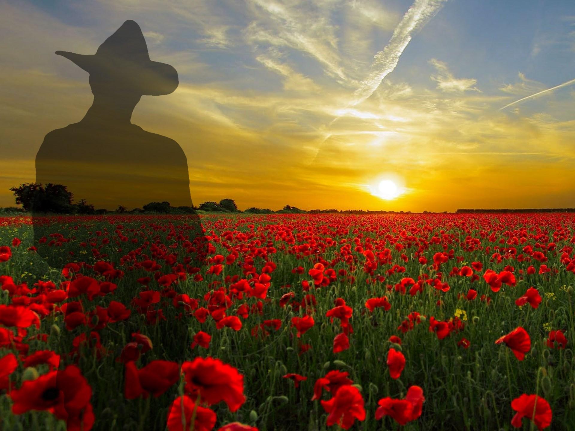 Gallipoli Battlefields Full-Day Tour from Istanbul