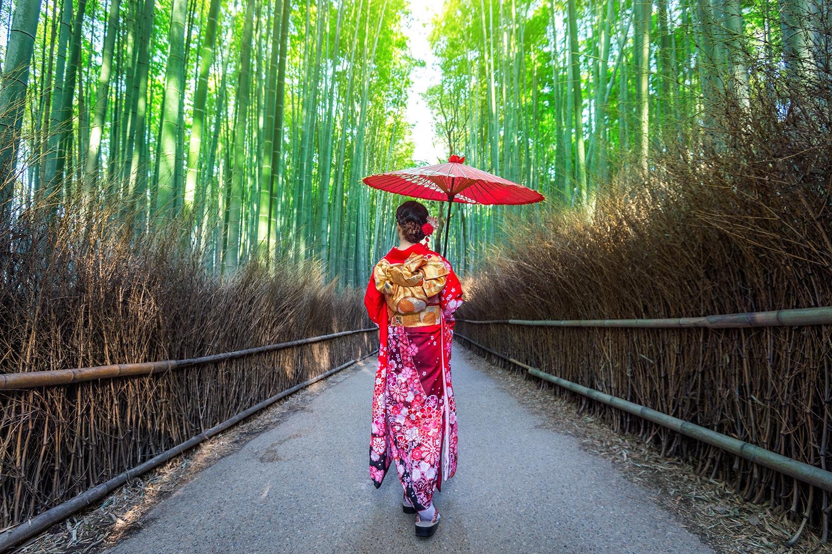 嵐山ガイド付きウォーキングツアー：竹林、禅寺、モンキーパーク