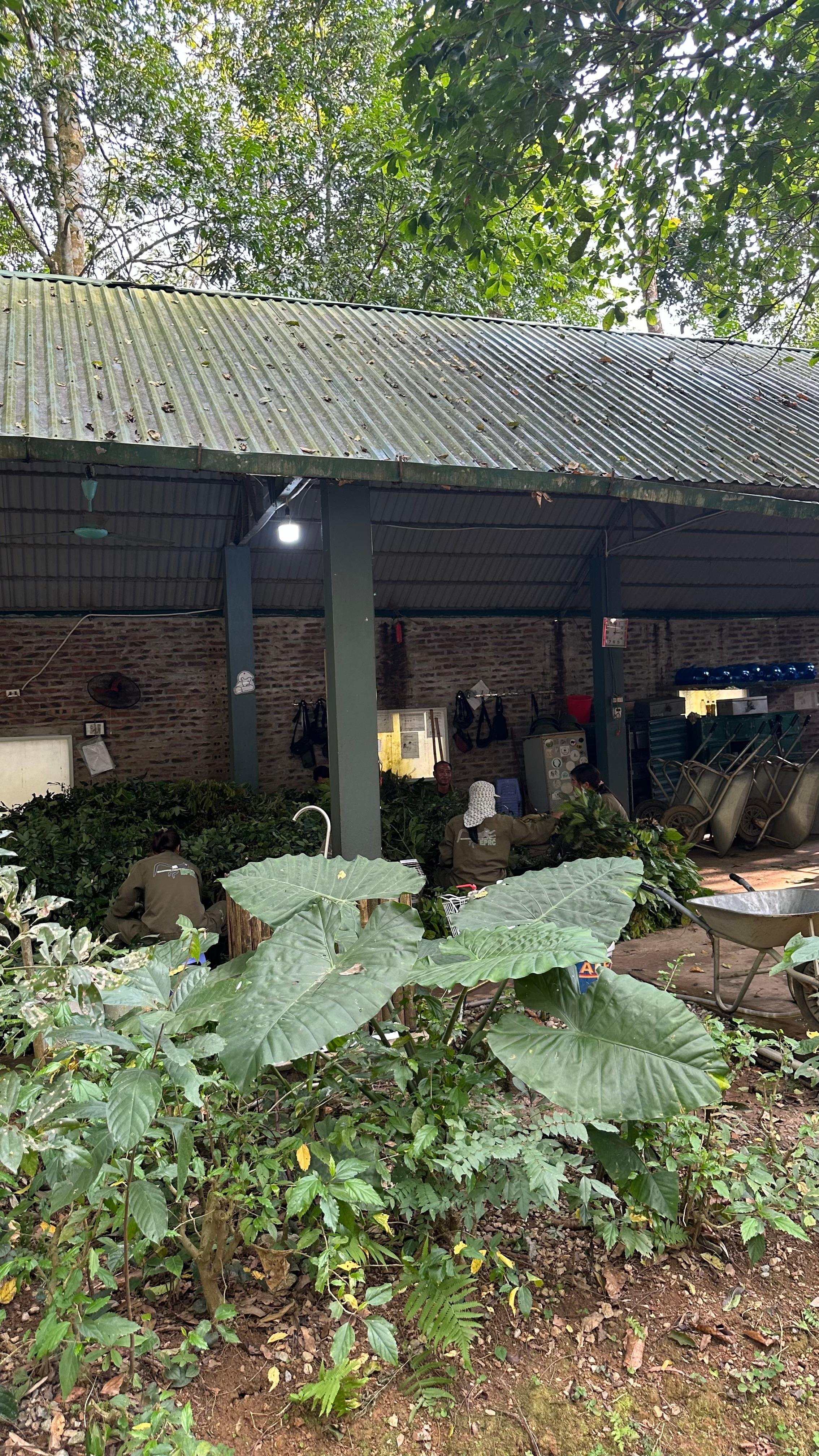 Cuc Phuong National Park Day Trek & Bear Sanctuary from Ninh Binh