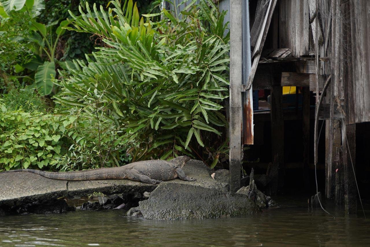 Bangkok 2-Hour Teak Boat Canal Cruise