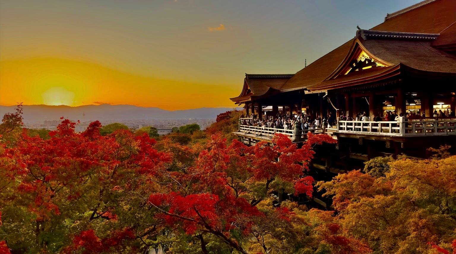 Privat høydepunkts-tur i Kyoto med sjåfør og engelskspråklig guide