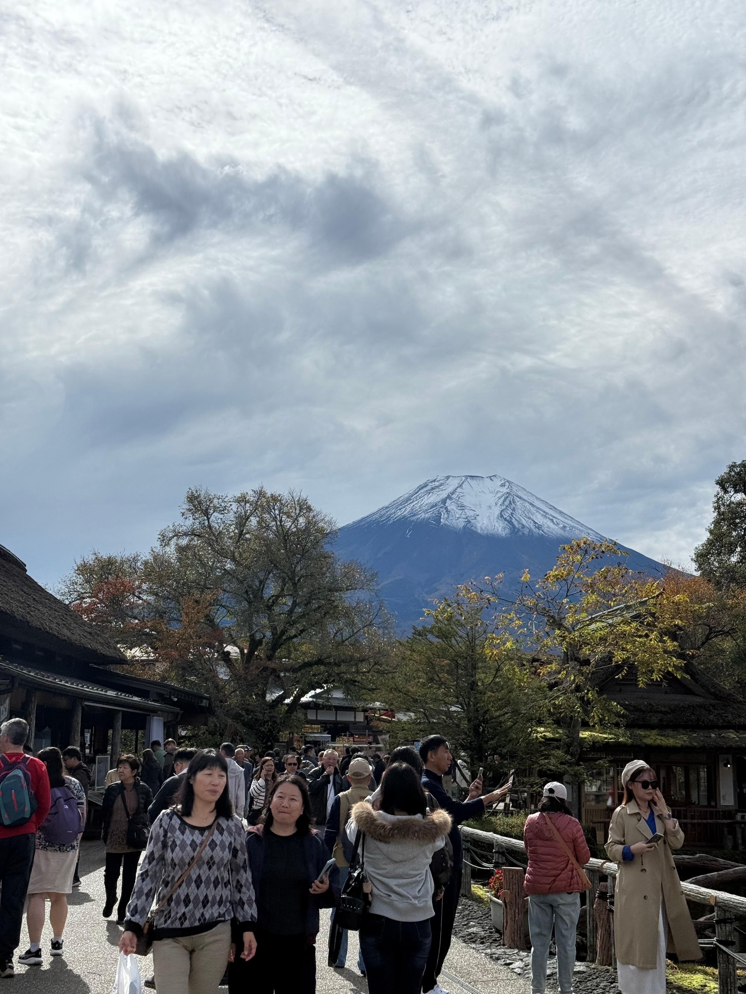 Tokyo to Mt. Fuji & Hakone Private Day Tour