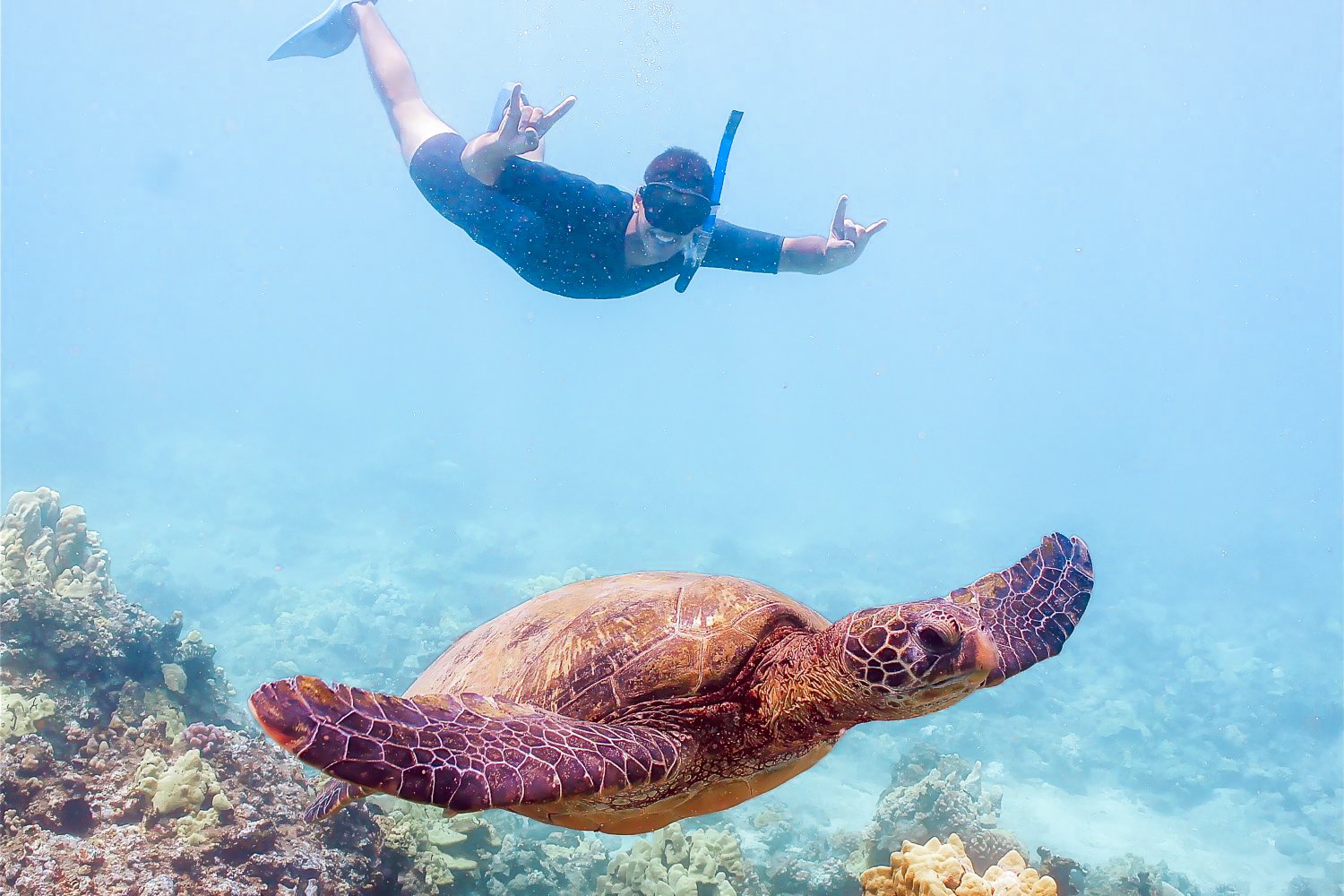 Molokini & Turtle Town Snorkel Cruise – South Maui