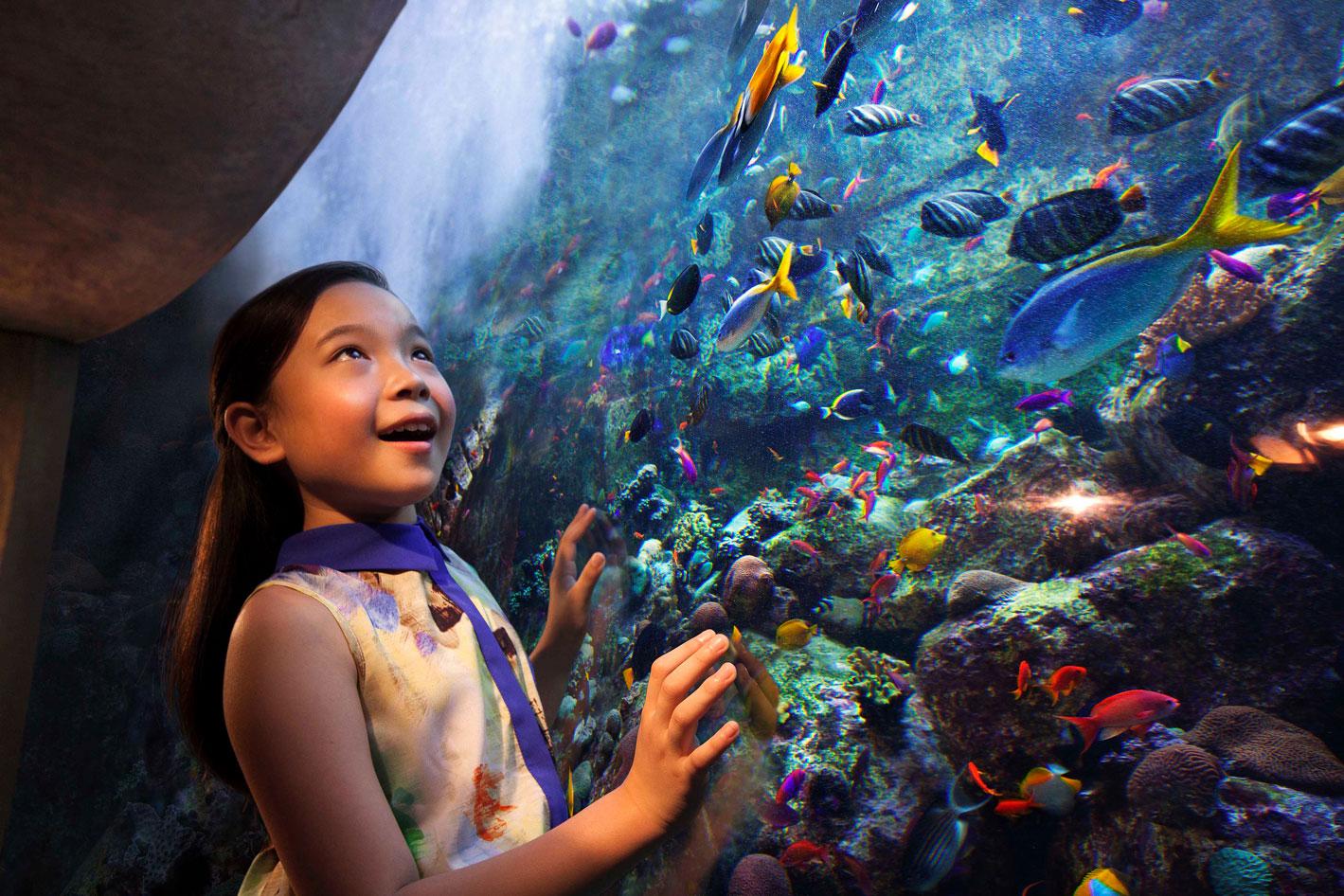 Dubai Lost World Aquarium Day Pass