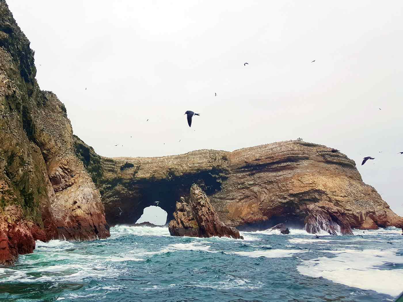 Ballestas Islands Wildlife Cruise & Huacachina Desert Adventure