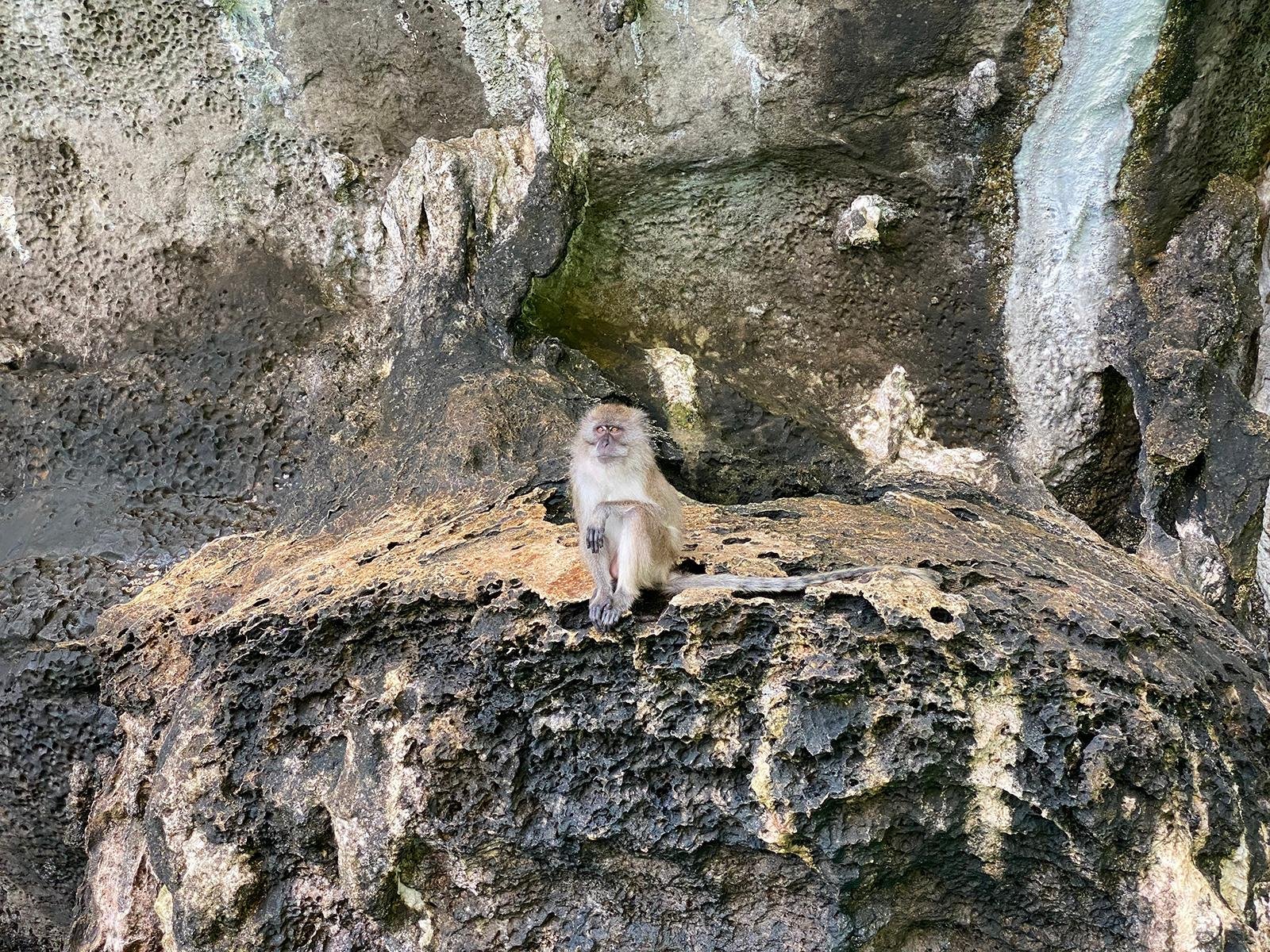 Private Longtail Boat Expedition: Phi Phi & Bamboo Islands