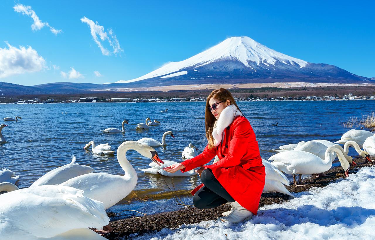 Mt. Fuji & Hakone Full-Day Tour with Ropeway & Lake Ashi Cruise