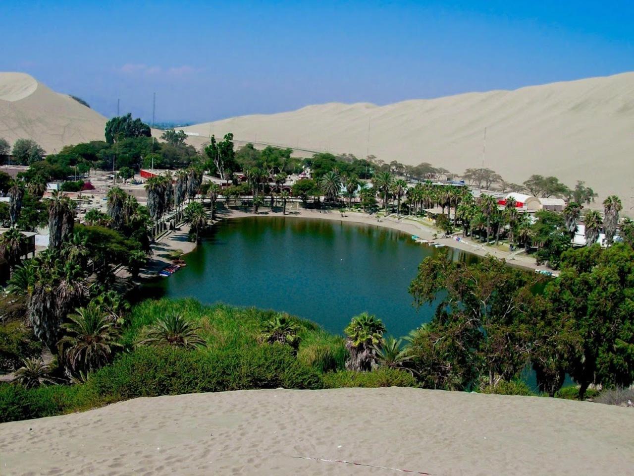 Excursión de un día a Paracas y Huacachina: vida silvestre, aventura en el desierto y cata de vinos