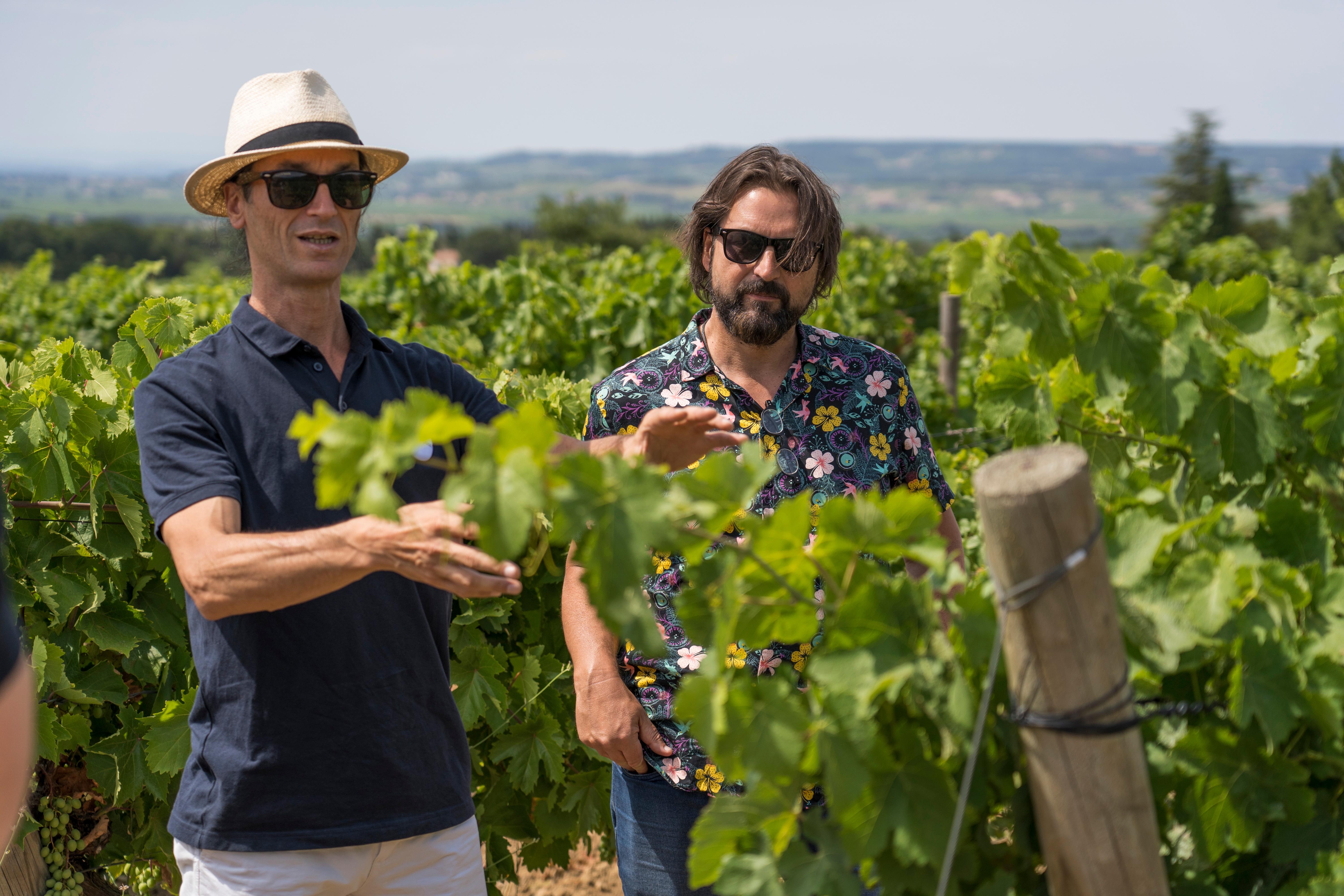 Châteauneuf-du-Pape half-day wine tour from Avignon — vineyards and village, Southern Rhône