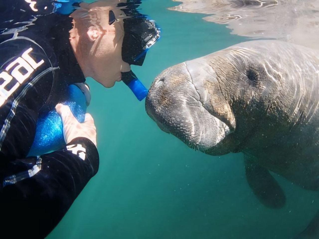 Semi-Private Manatee Swim in Crystal River