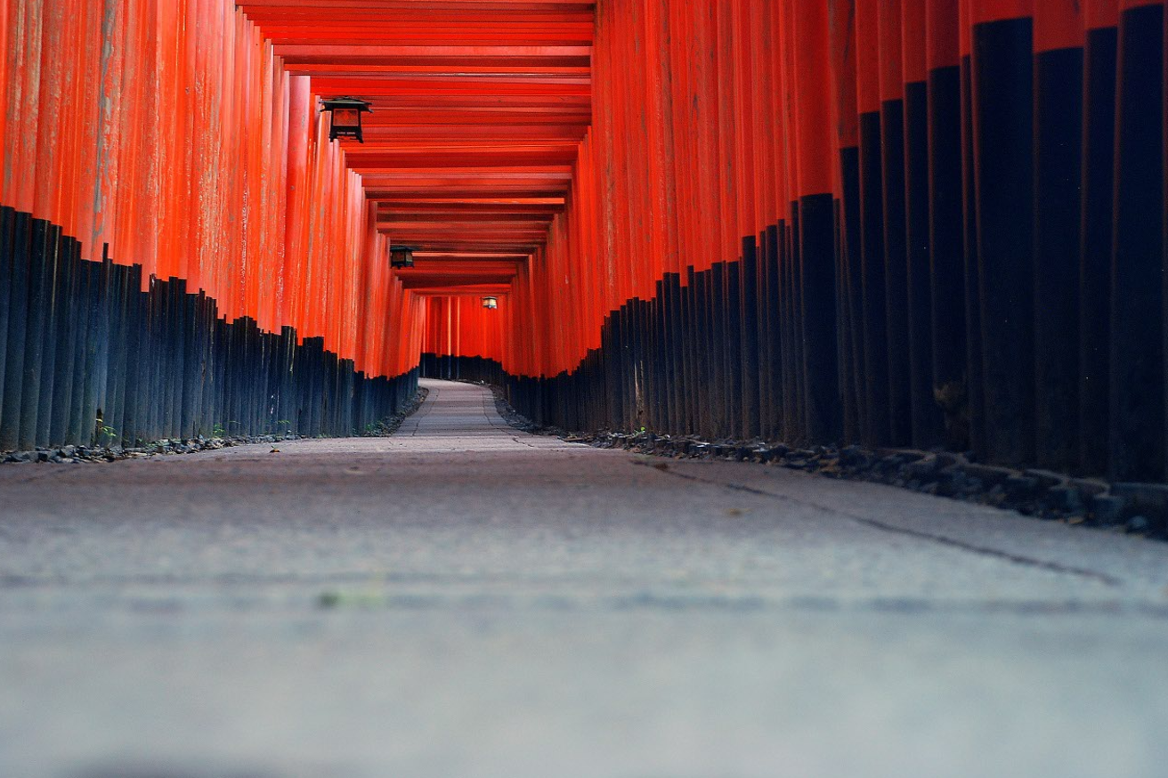 Kyoto Early Bird: Fushimi Inari, Nijo Castle & Kinkaku-ji