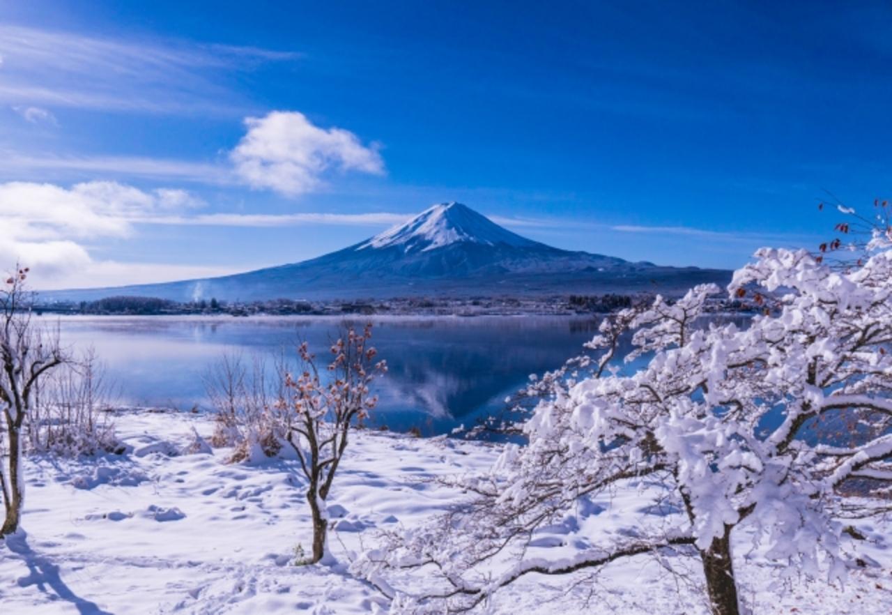 Mt. Fuji Day Tour: Scenic Stops & Lake Kawaguchi Cruise from Tokyo