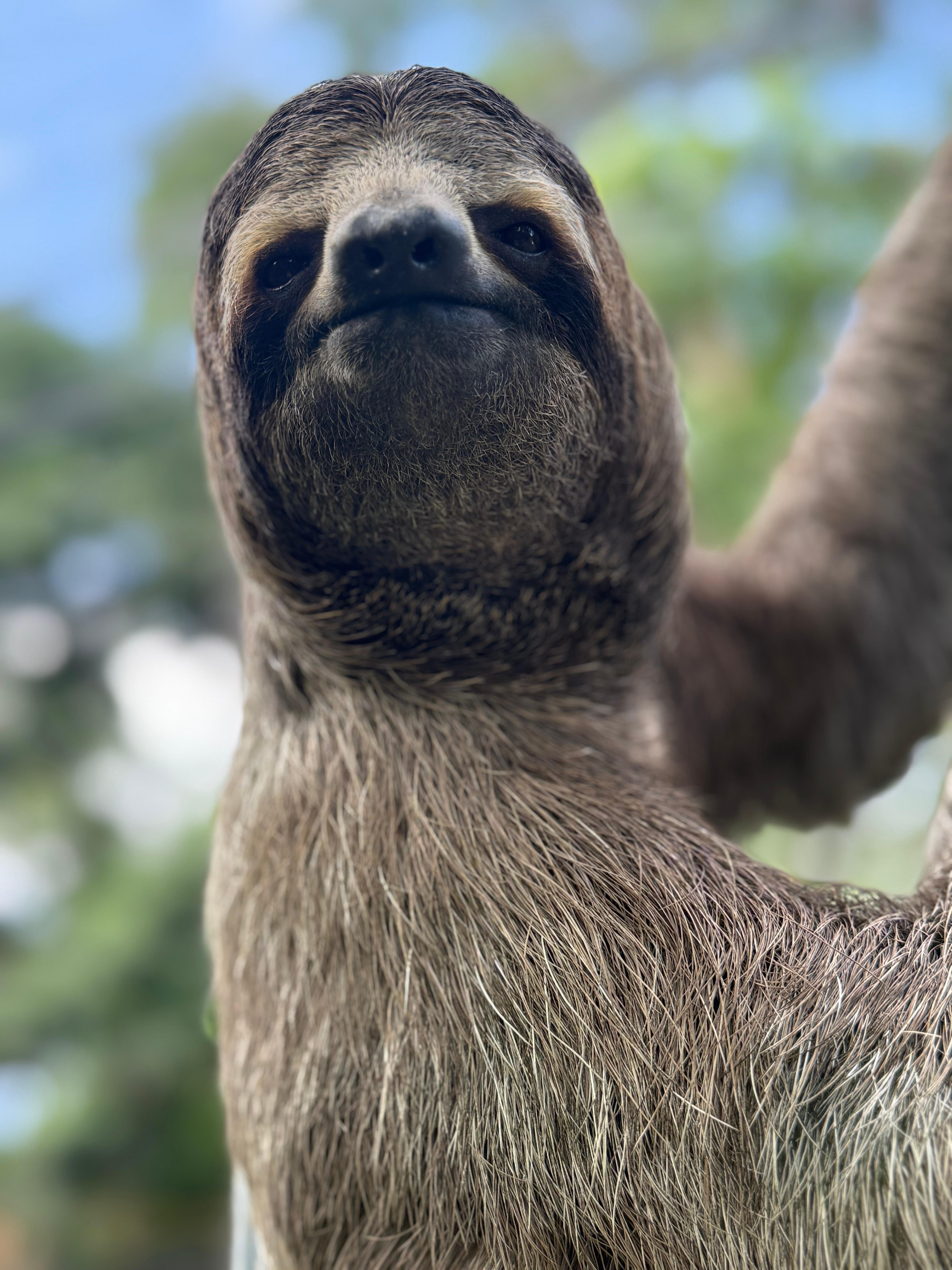 Manuel Antonio National Park: Wildlife Guided Tour with Entrance Fee