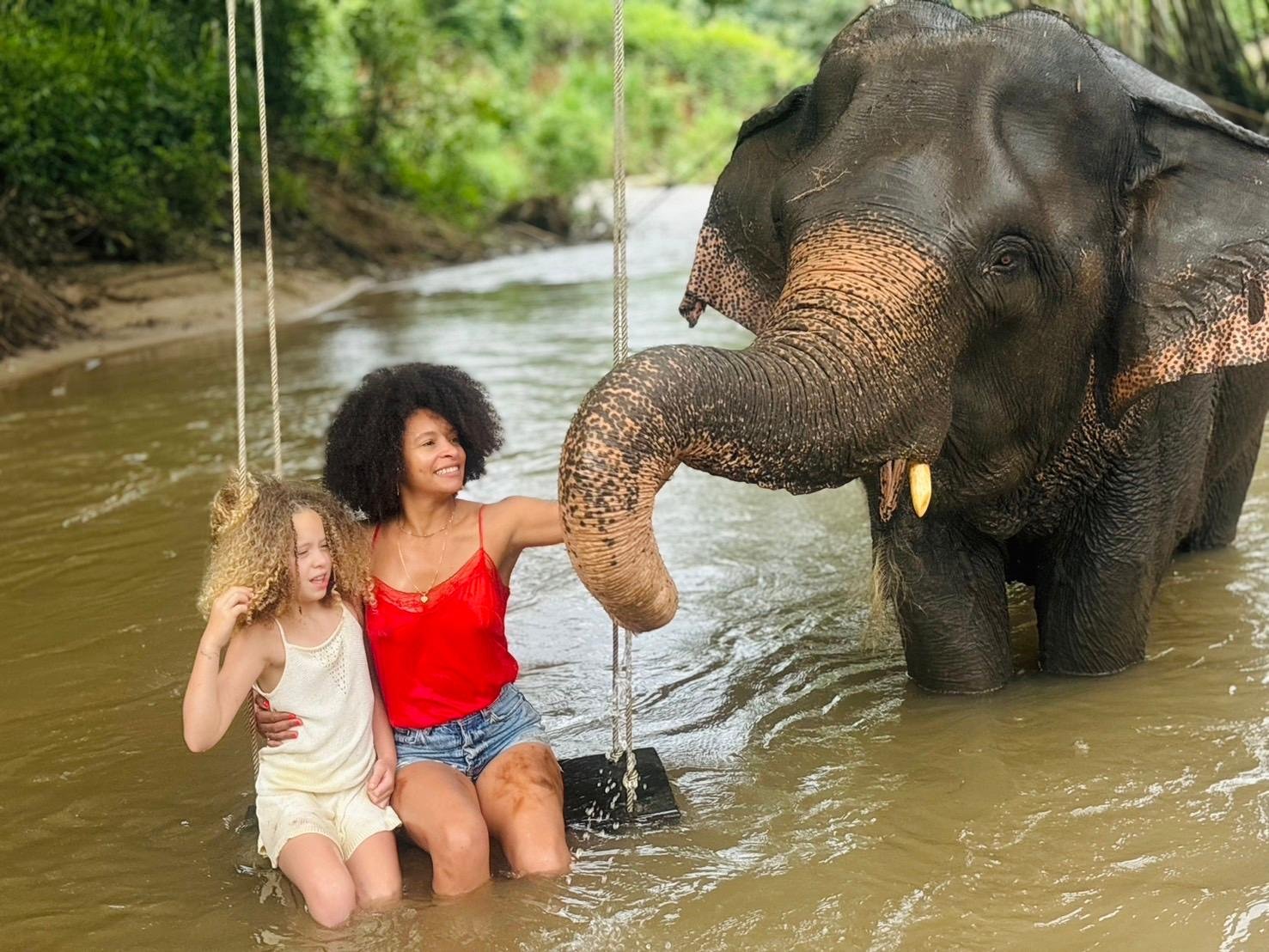 Elephant Sanctuary and Cooking Class — image 15