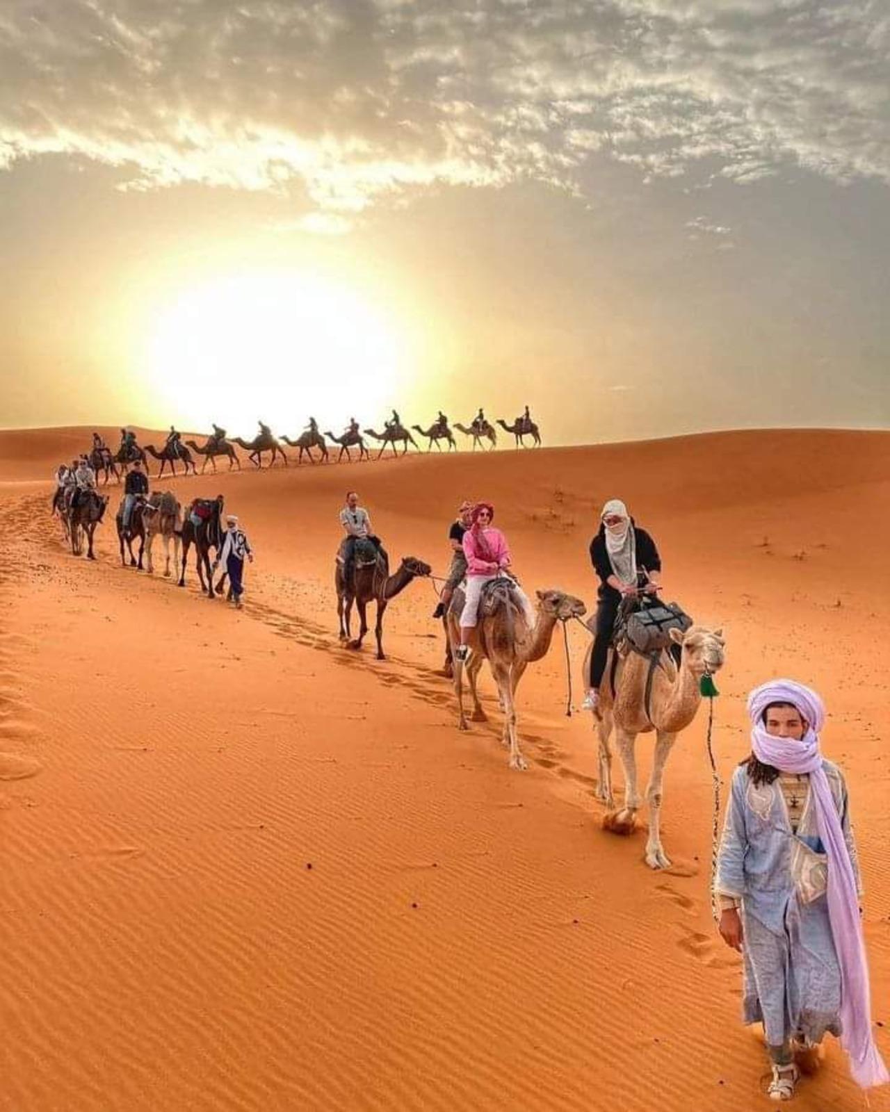 Erg Chebbi Overnight Camel Trek from Merzouga