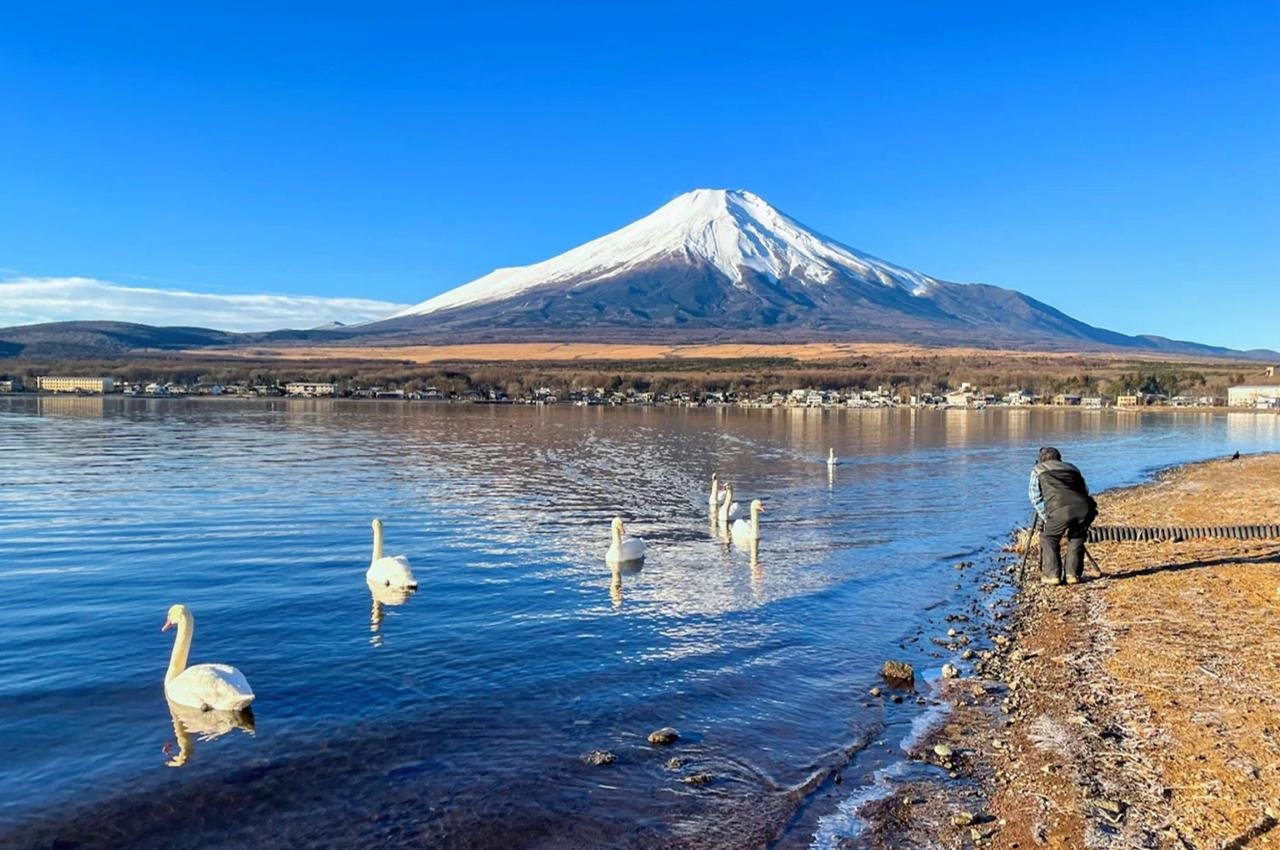 Hakone one day tour from Tokyo — Mt. Fuji, Lake Ashi, and Hakone Ropeway — photo 17