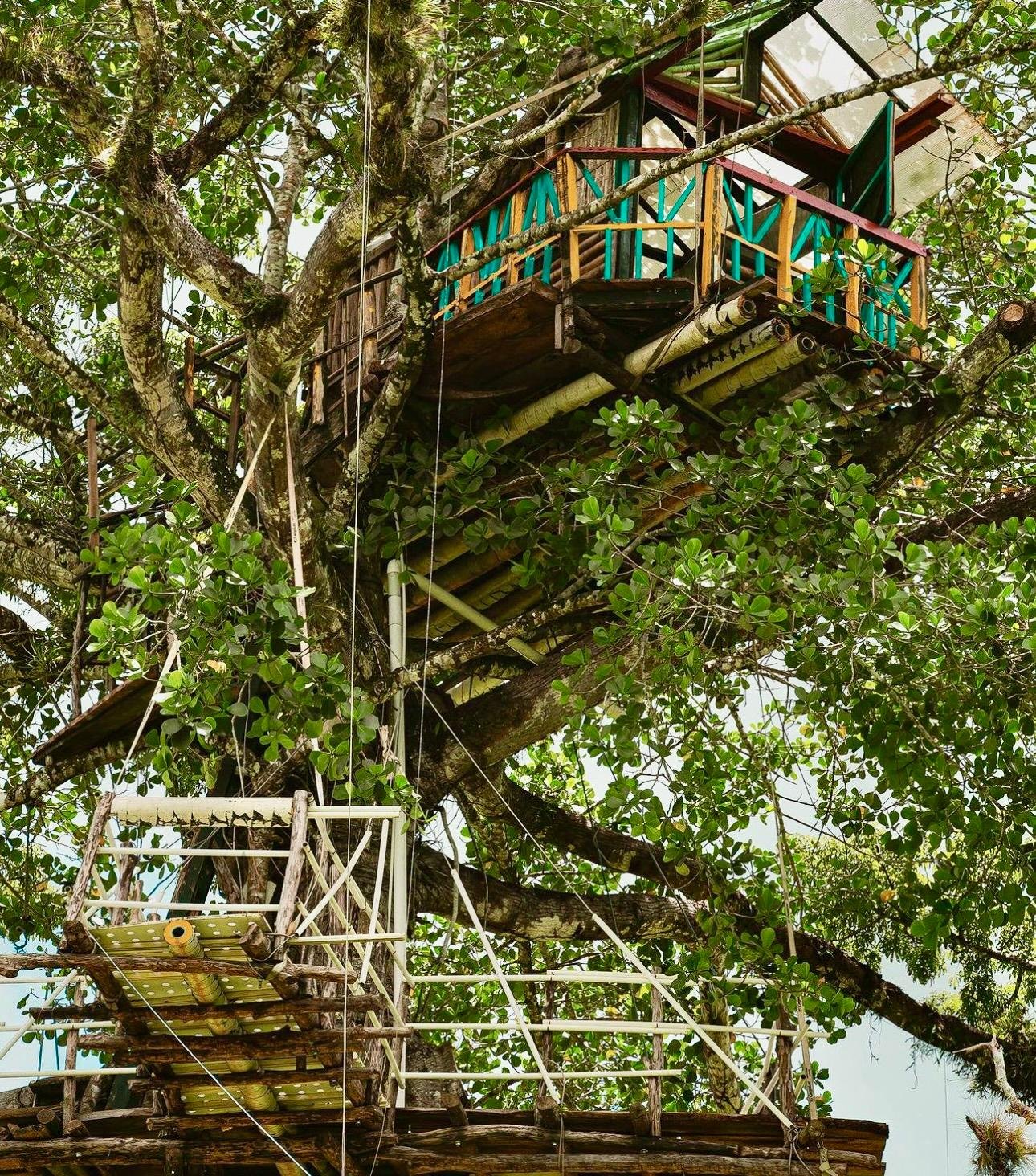 Dominican Republic 3-in-1: Los Haitises, Yanigua Falls & Montaña Redonda