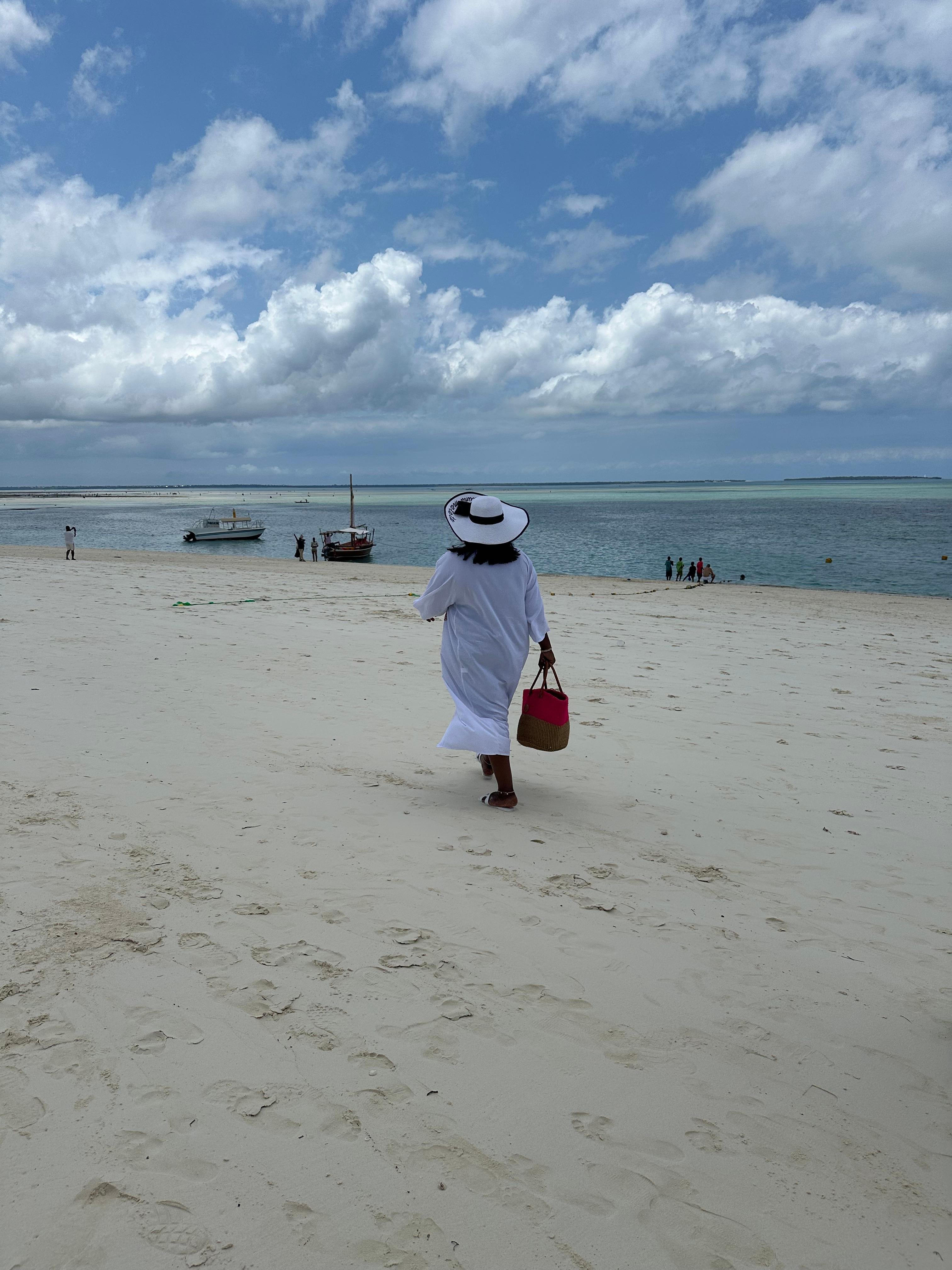 Mnemba Island Dolphin & Snorkel Boat Trip from Matemwe