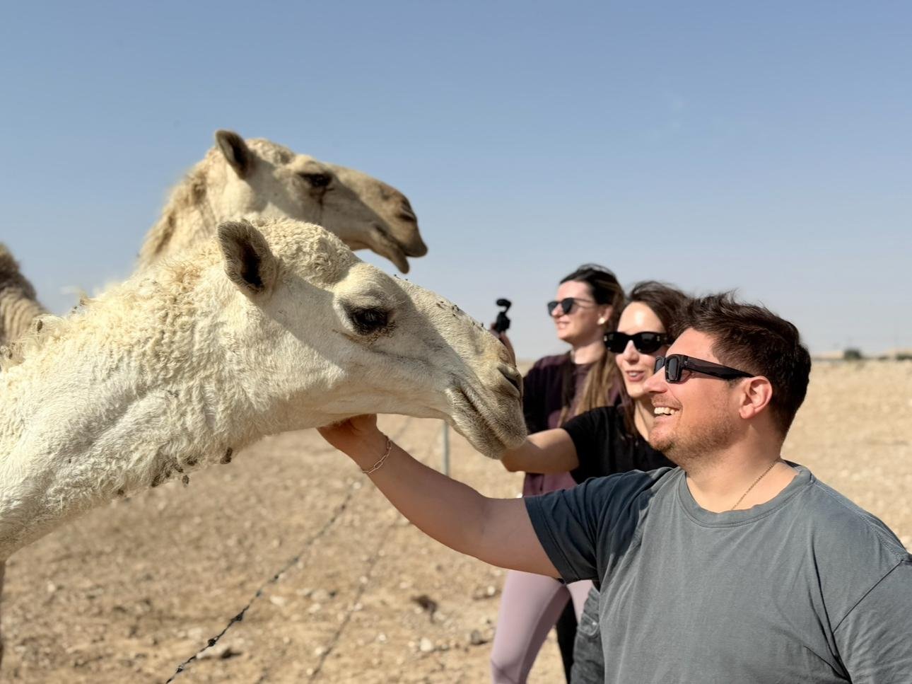 Riyadh Desert Expedition: Edge of the World, Camels & Stargazing