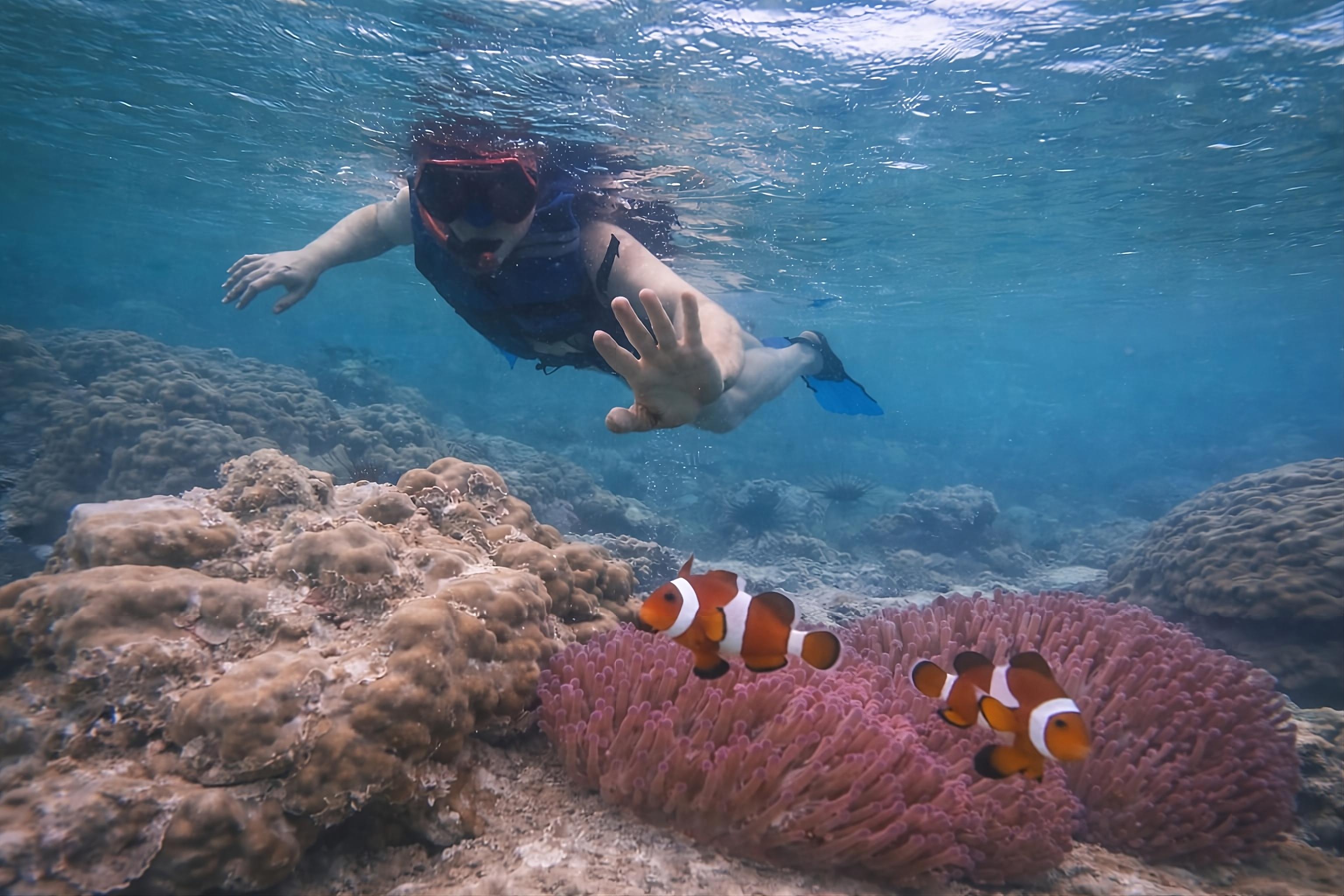 Private Batam Snorkeling & Beach Adventure from Singapore