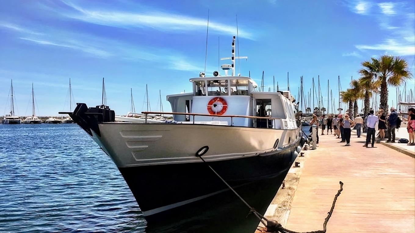 Dolphin Watching Expedition in the Gulf of Lion