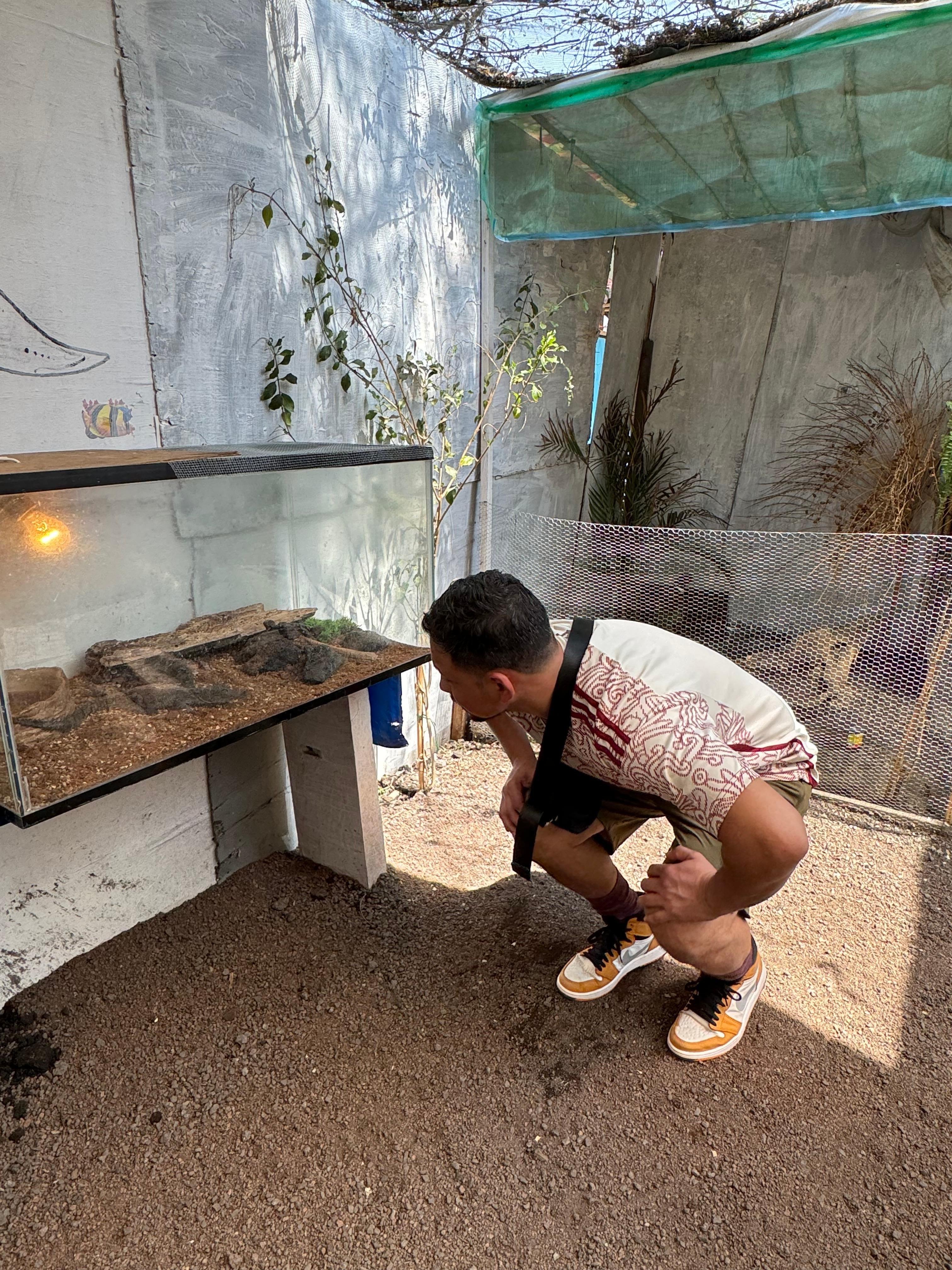 Xochimilco Axolotl Refuge & Canal Expedition