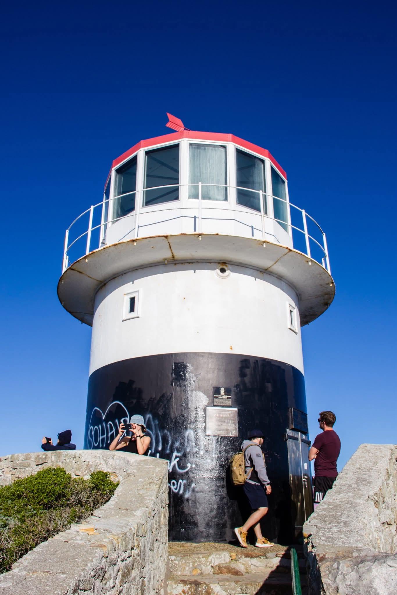 Private LGBTQ+ Cape Peninsula & Penguin Experience