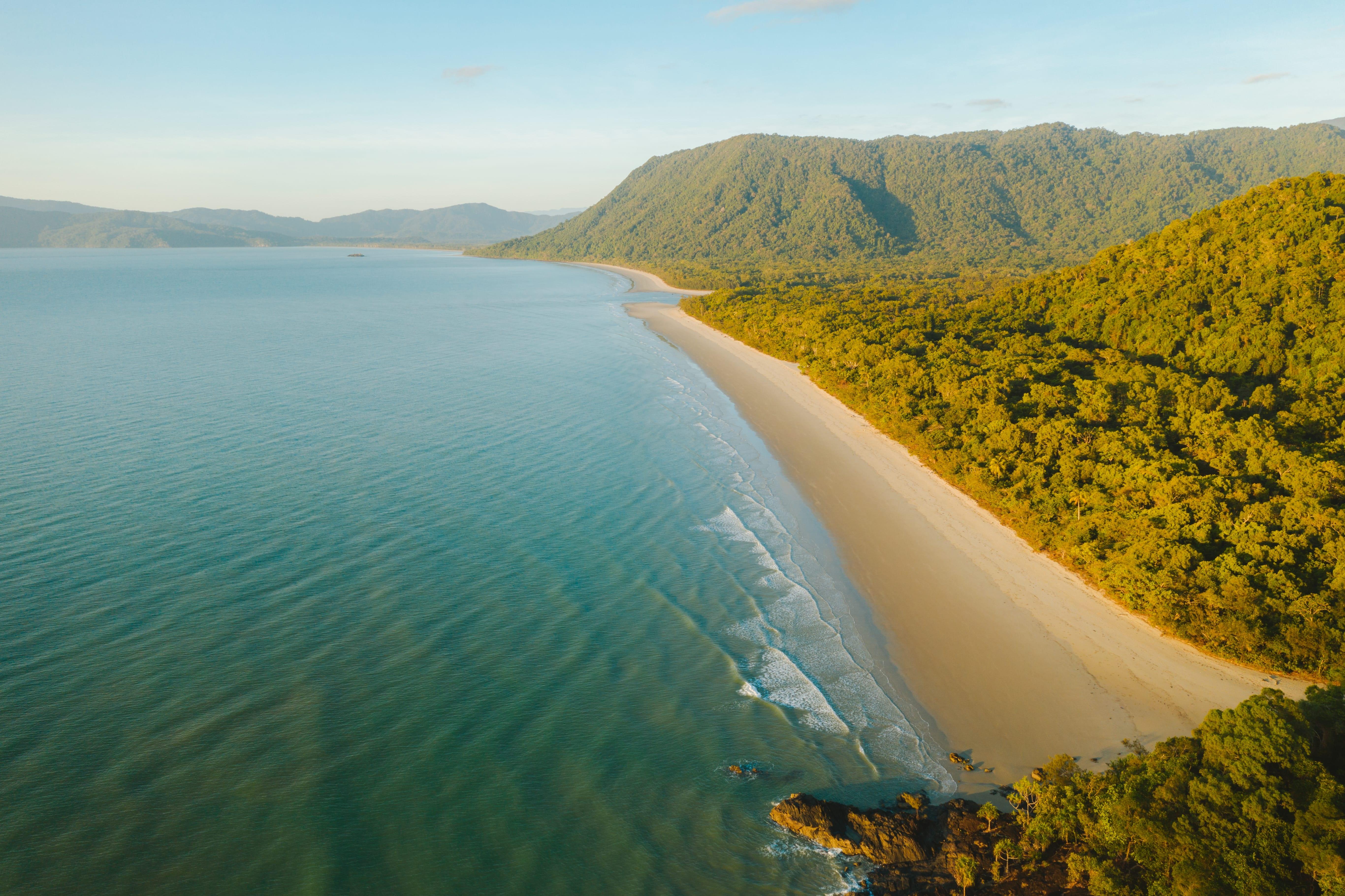 Daintree Rainforest & Cape Tribulation Premium Day Tour