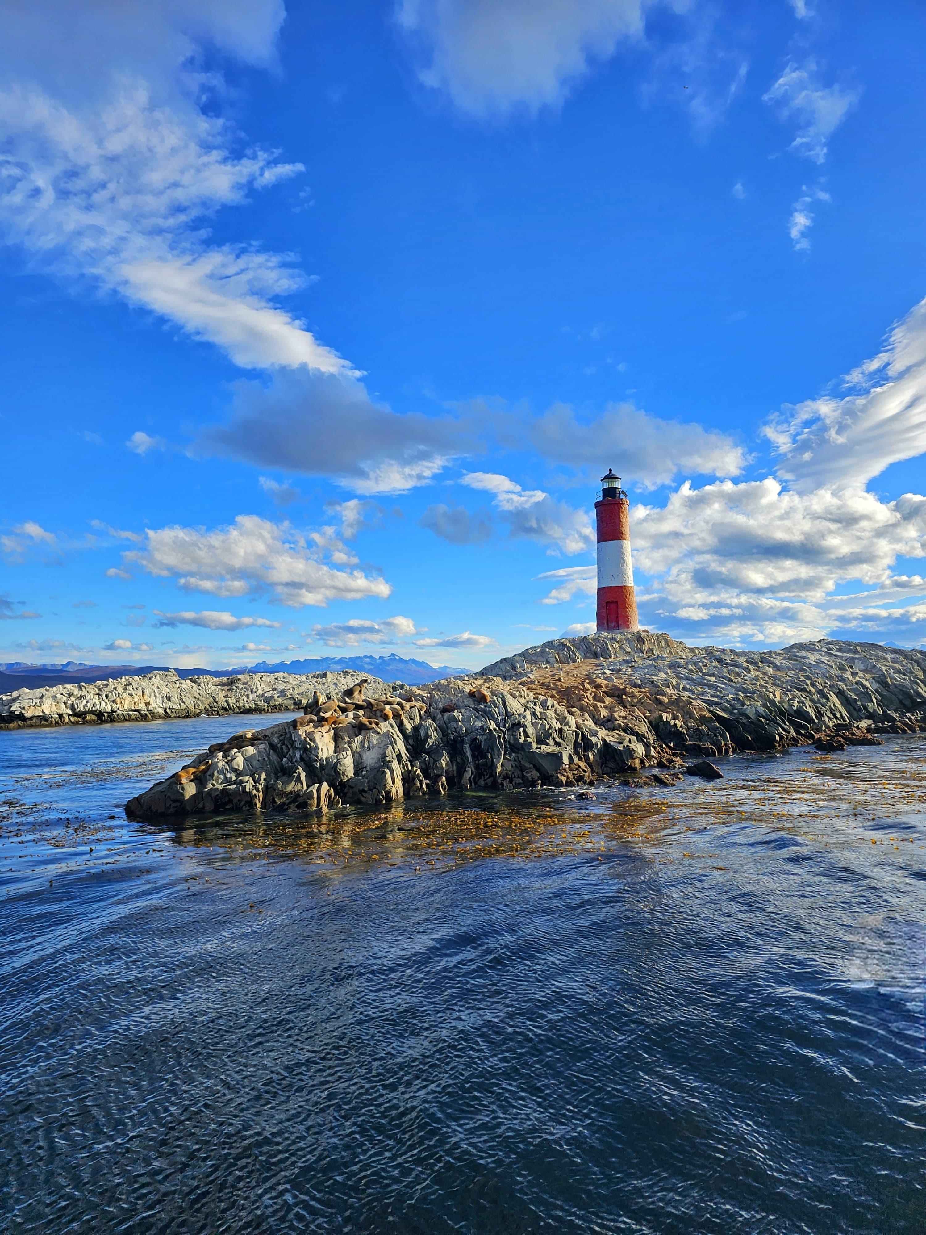 Ushuaia: Beagle Channel & Penguin Island Catamaran Cruise