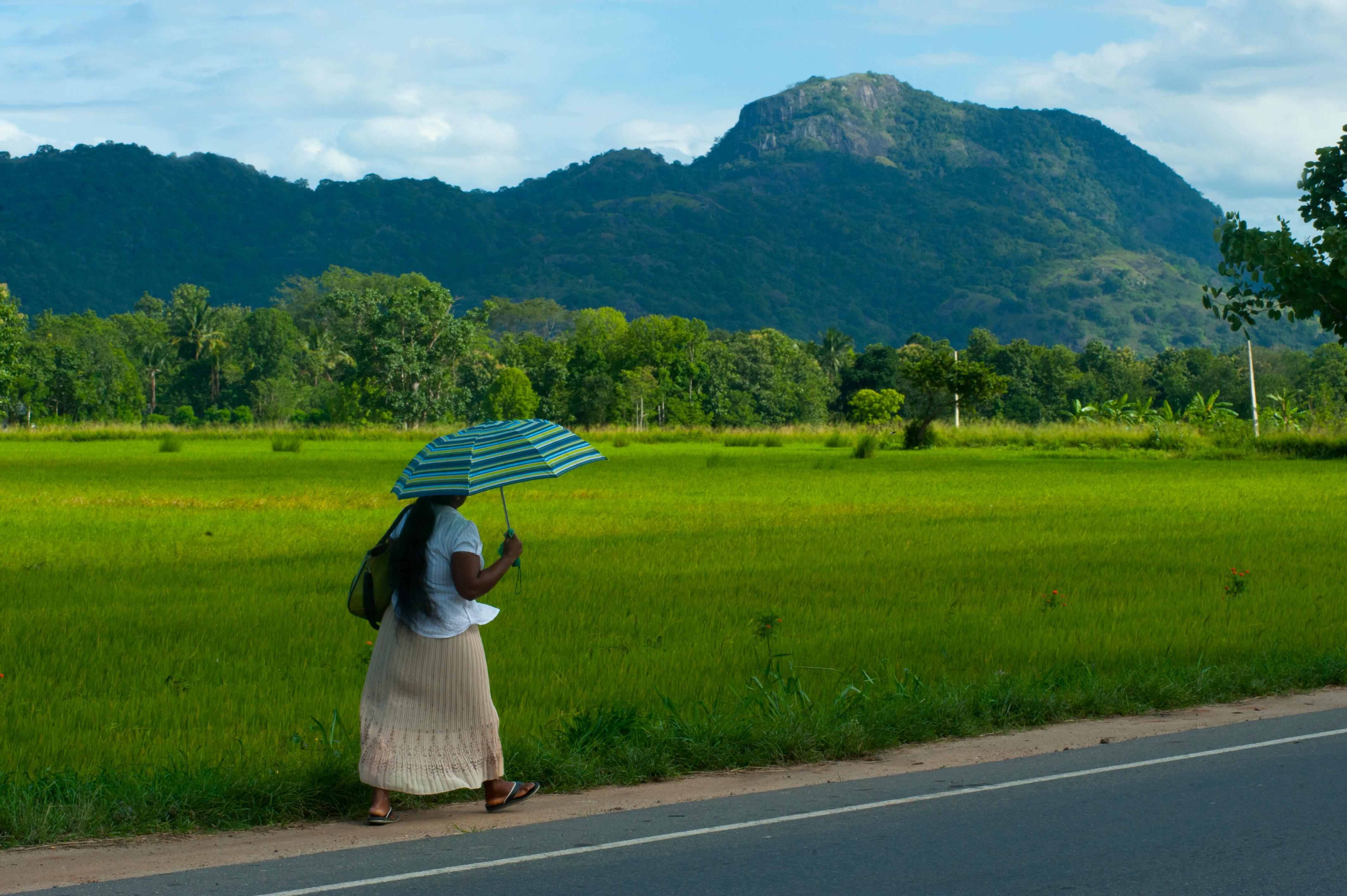 7-Day Sri Lanka Highlights: Culture, Wildlife & Coast