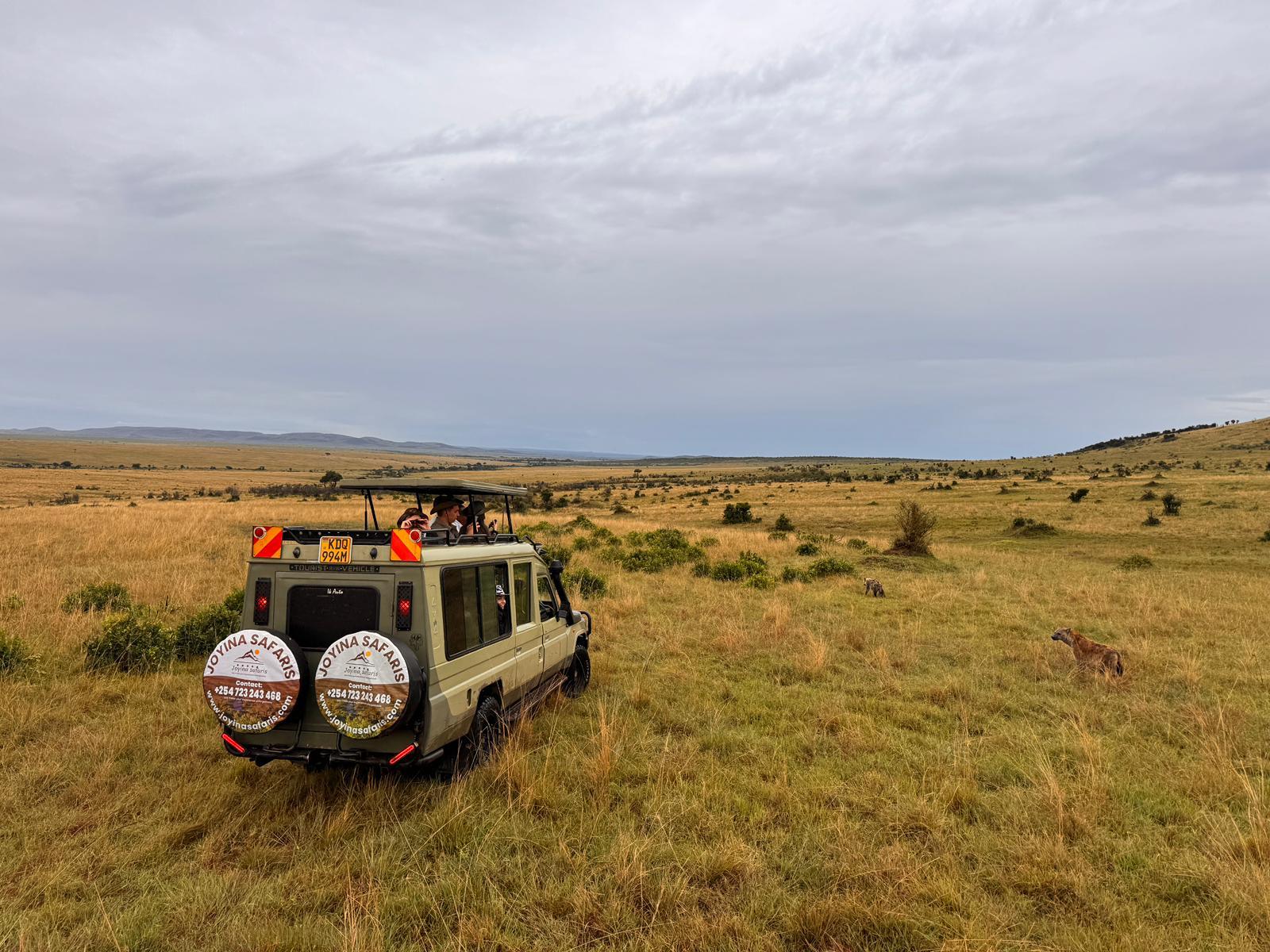3-Day Maasai Mara Safari by 4WD Landcruiser from Nairobi