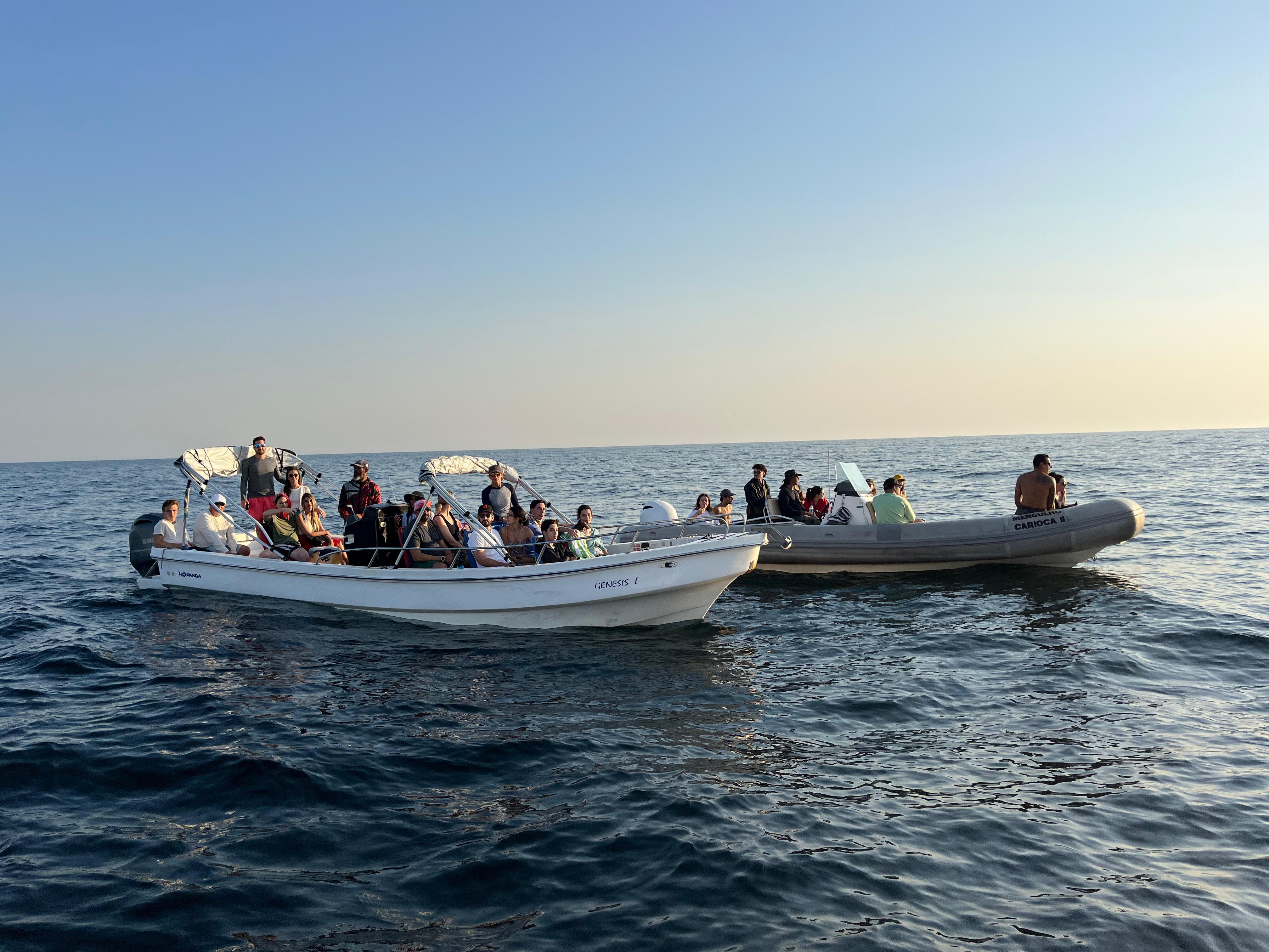 Rio de Janeiro Whale Watching Speedboat Adventure