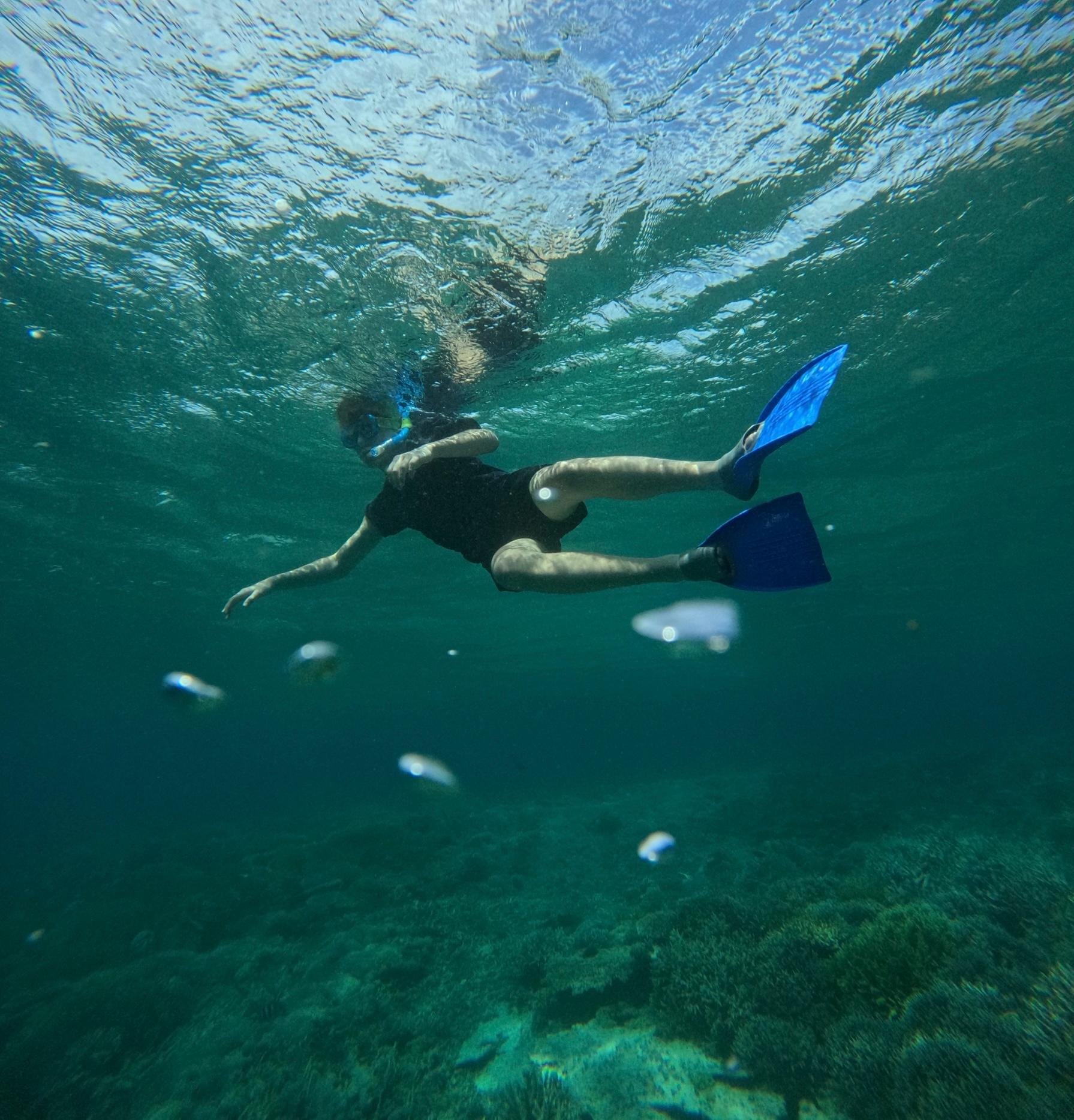 Komodo & Pink Beach 2-Day Shared Boat Adventure from Labuan Bajo