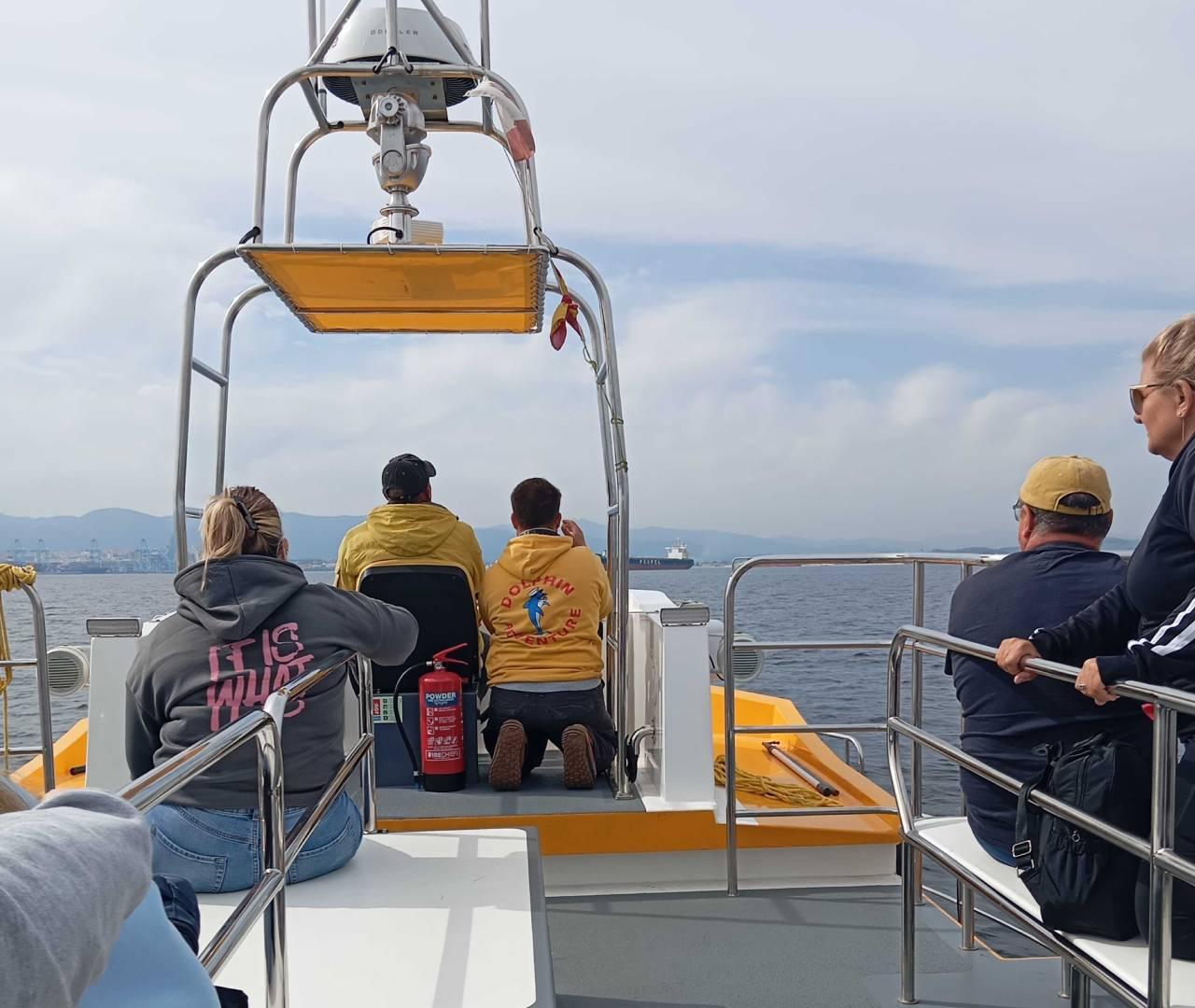 Gibraltar Dolphin Watching & Free Time from Jerez