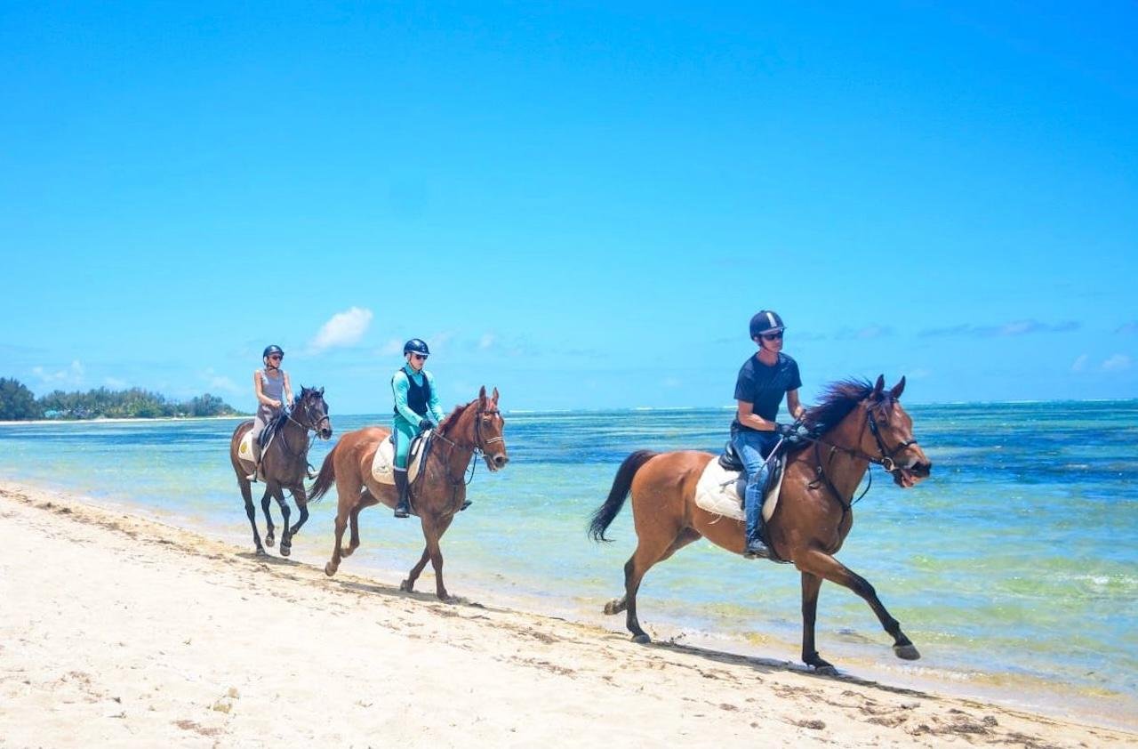 Southern Mauritius: Beach Horseback Adventure & Scenic Highlights