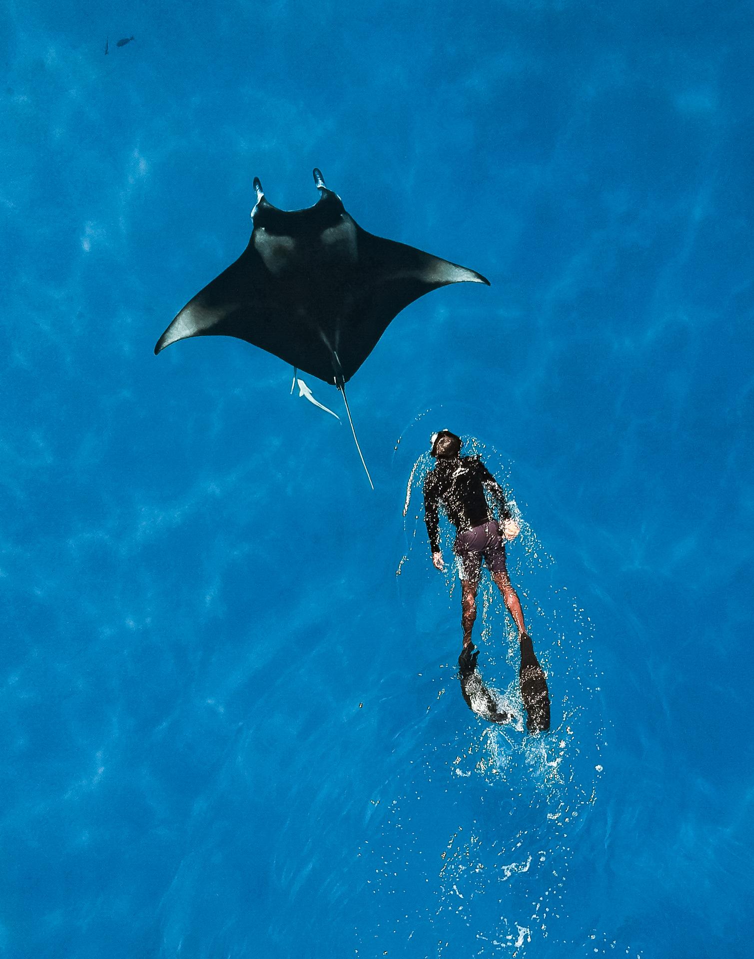 Manta Ray Snorkeling with Sandbank & Lagoon Visit