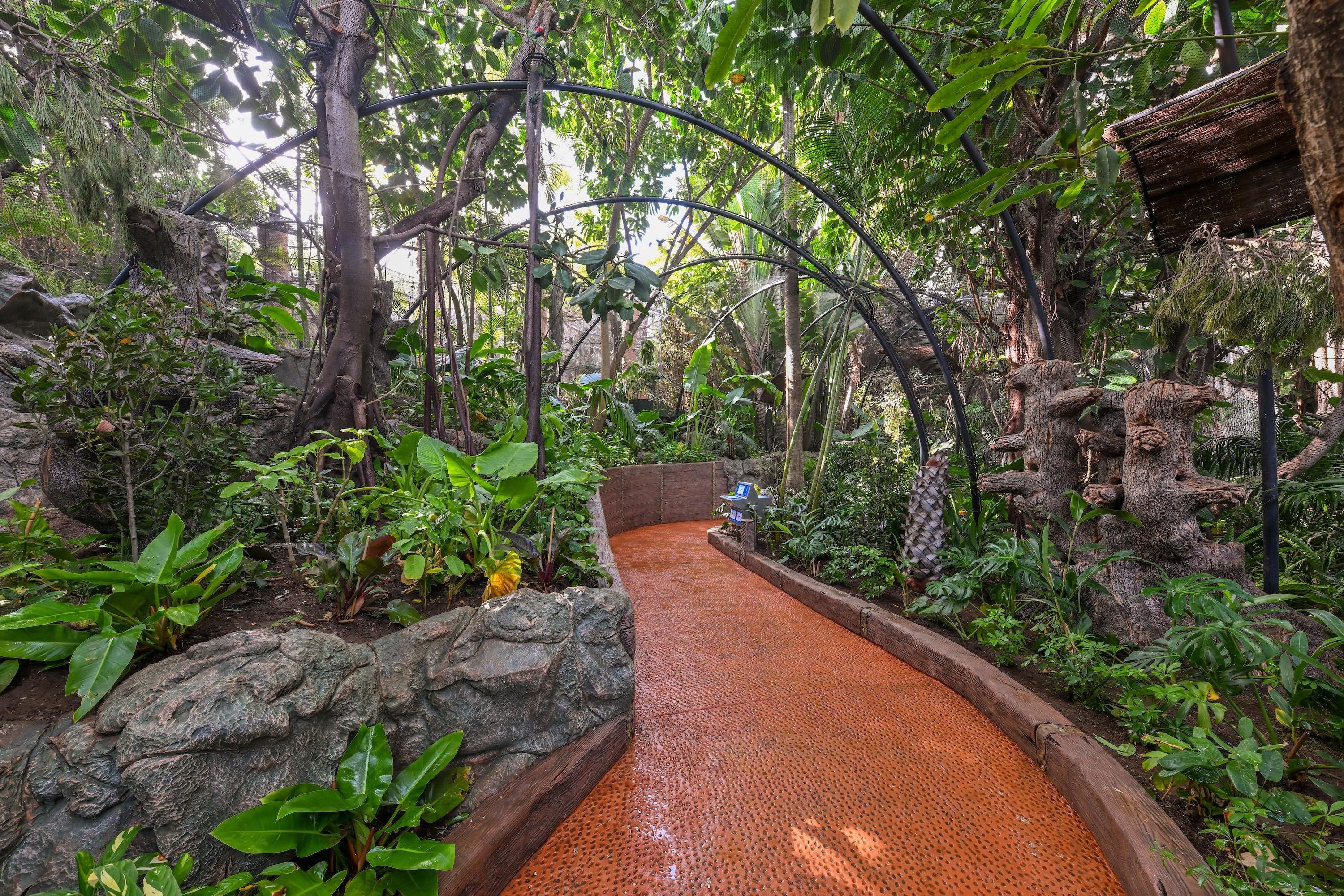 Loro Parque Tenerife Official Entry Ticket