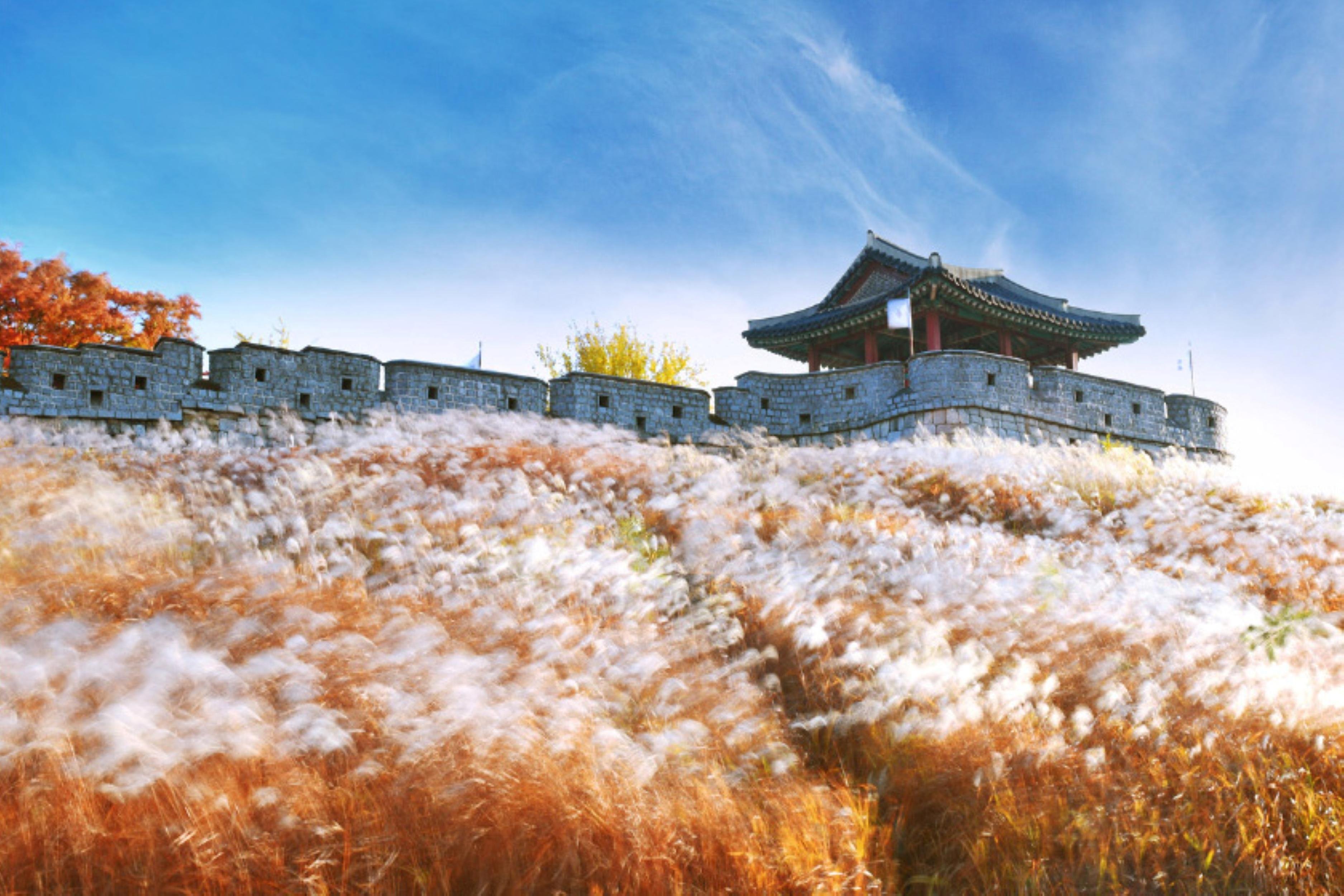 Seoul: Suwon Hwaseong Fortress & Folk Village or Starfield