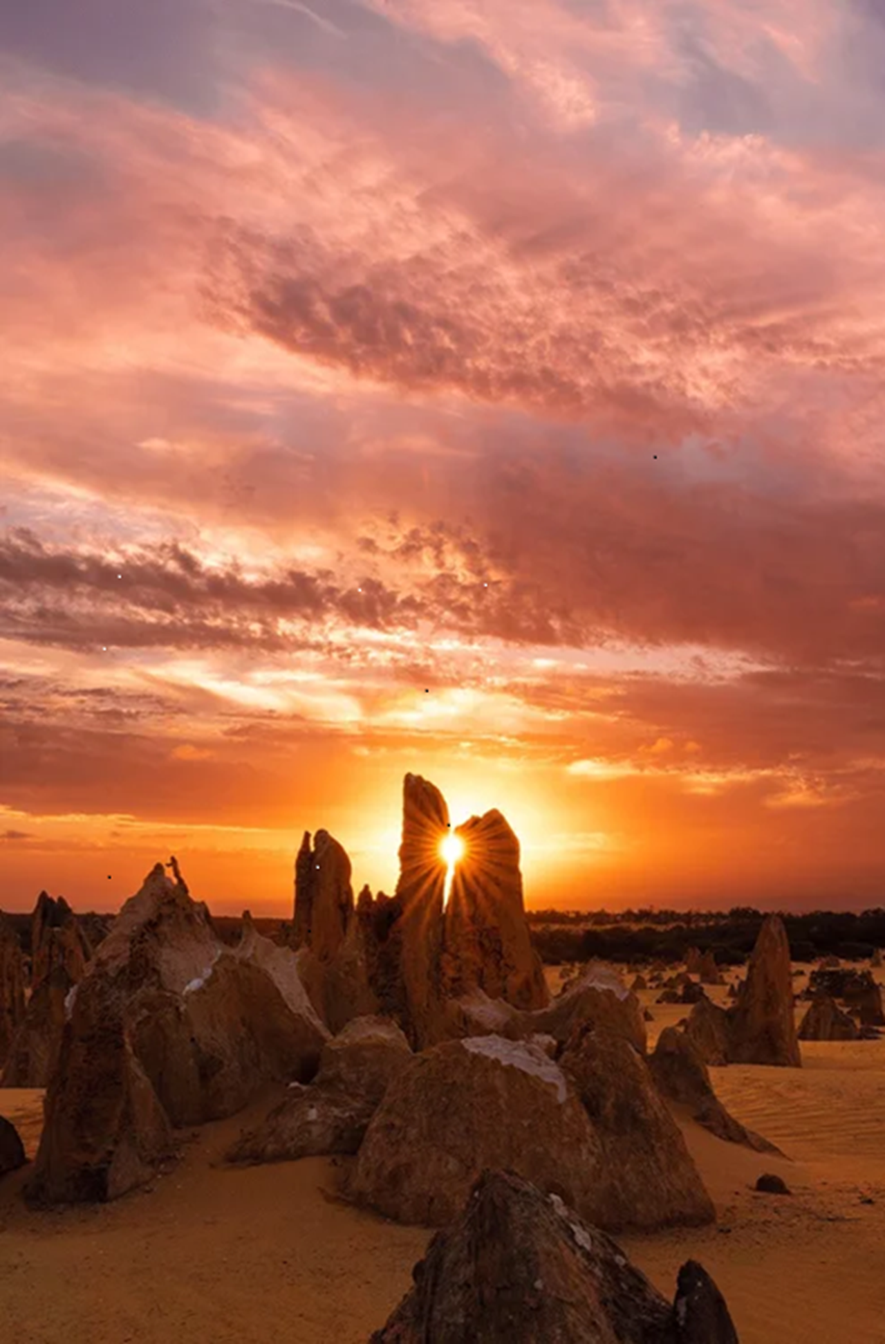 Pinnacles Desert Sunset & Stargazing Tour with Dinner