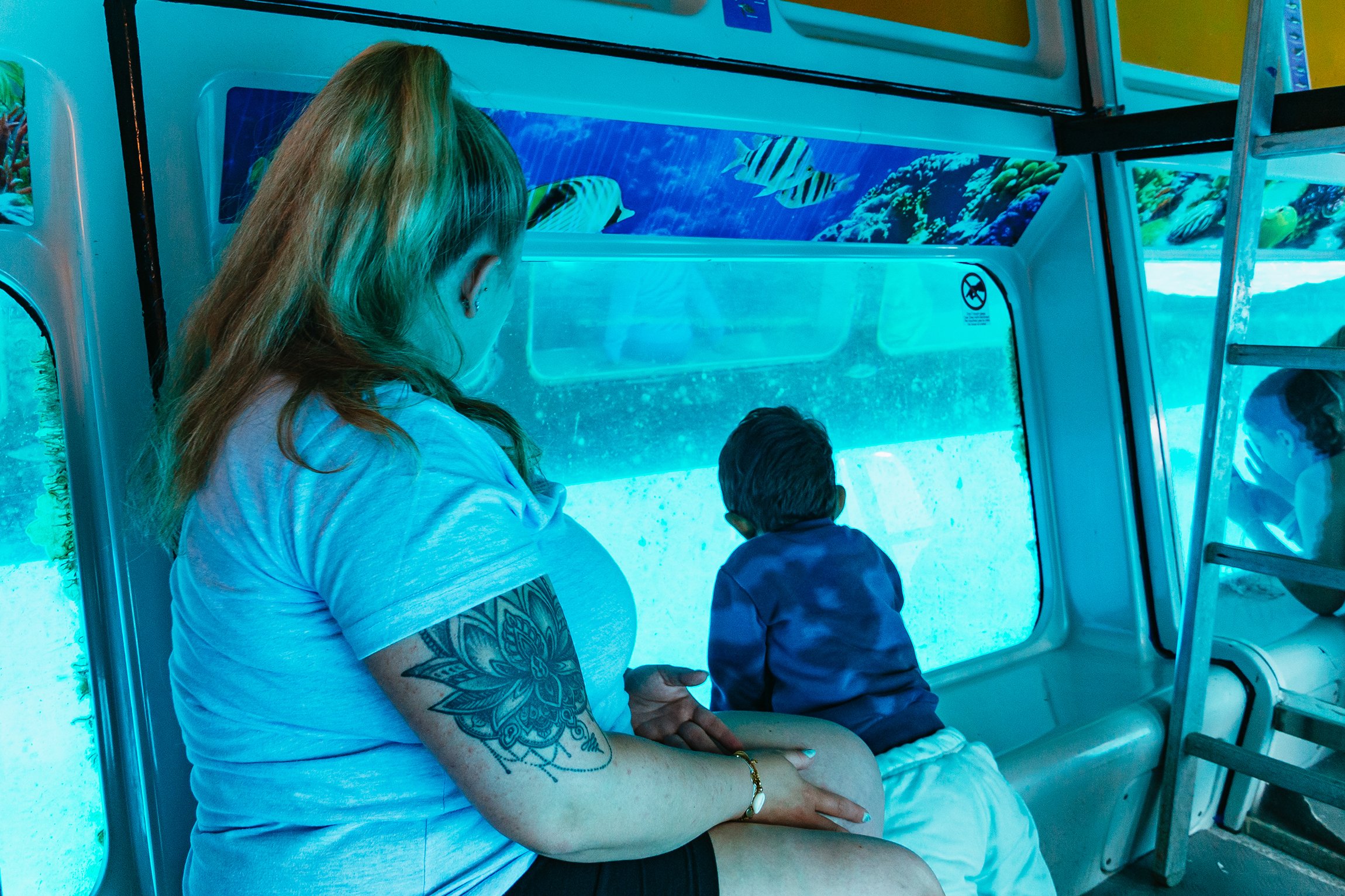 Glass-Bottom Boat Tour with Dolphin Watching & Canarian Lunch