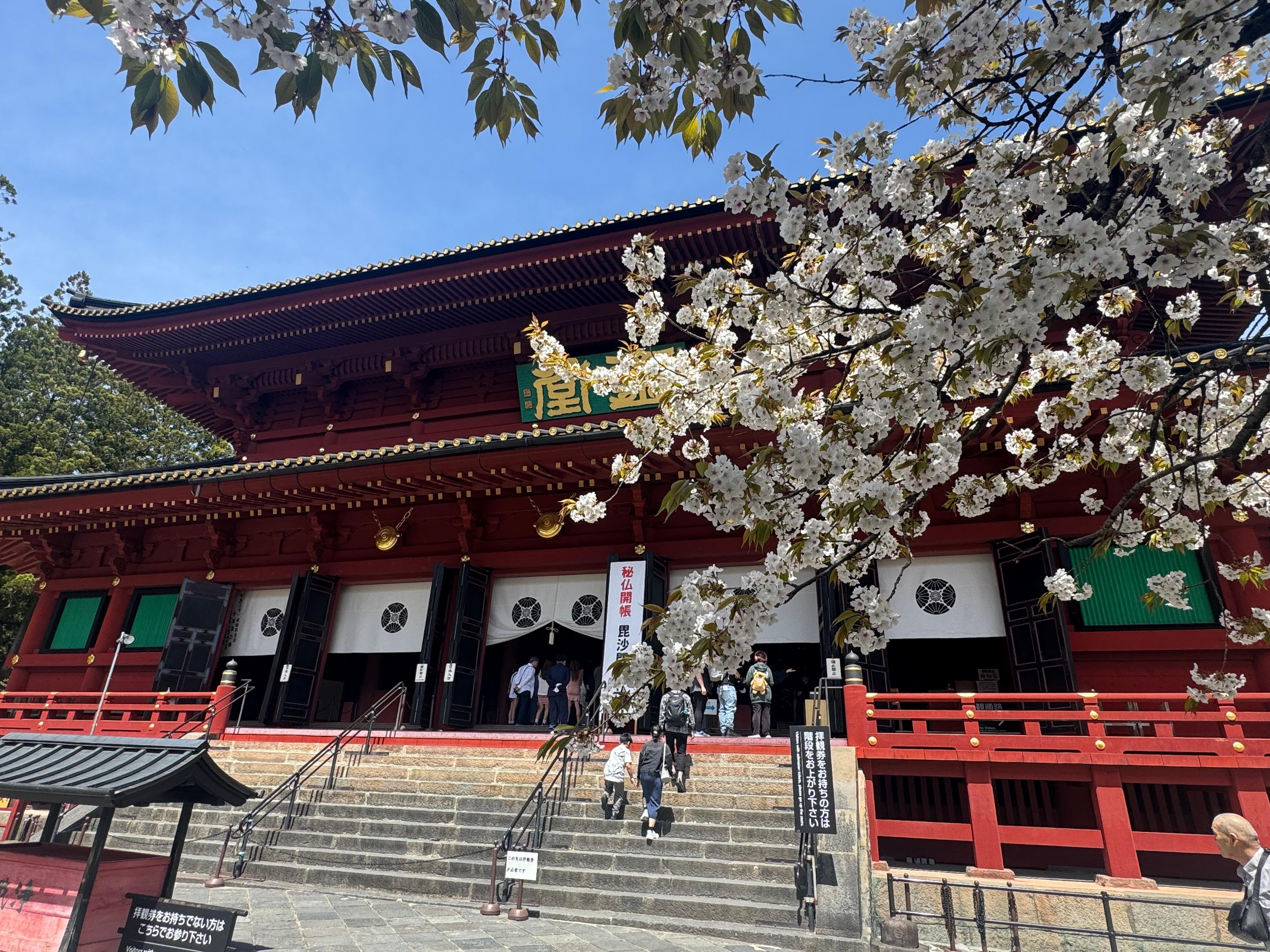 Nikko Private Full-Day Tour from Tokyo
