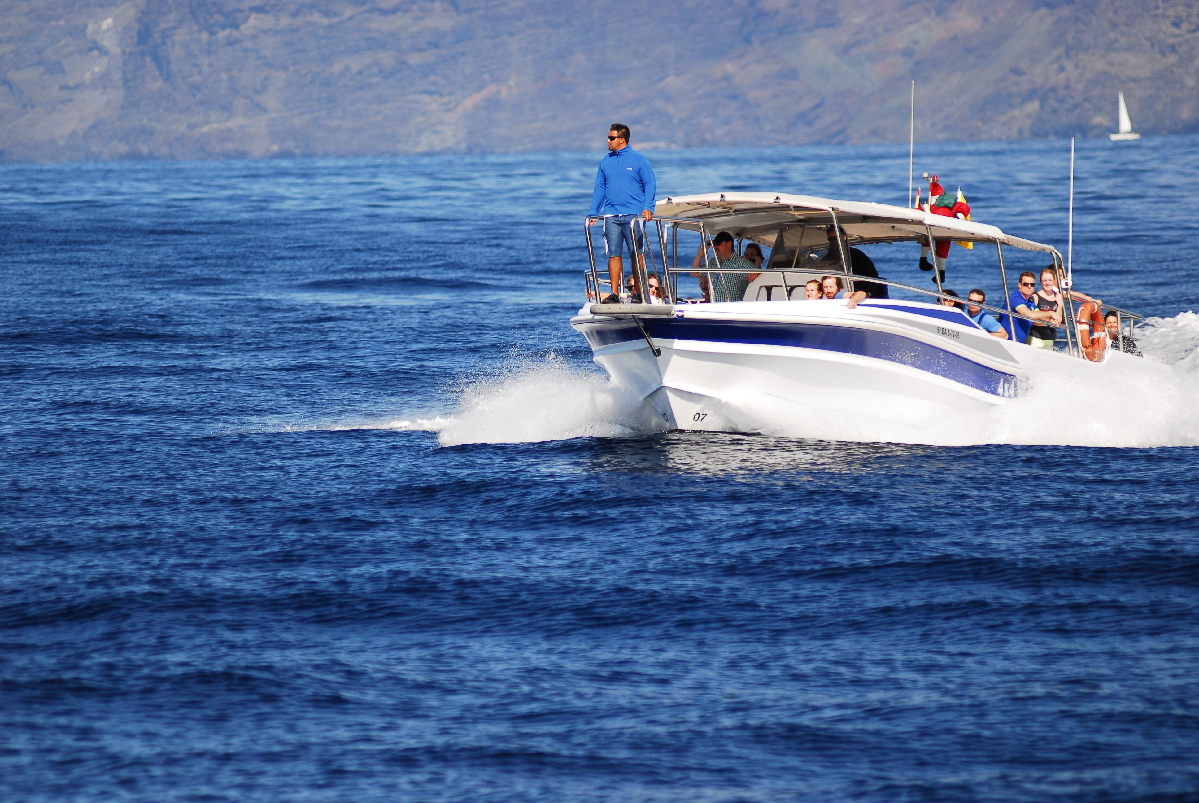 Los Gigantes Whale & Dolphin Watching Cruise with Masca Bay Swim