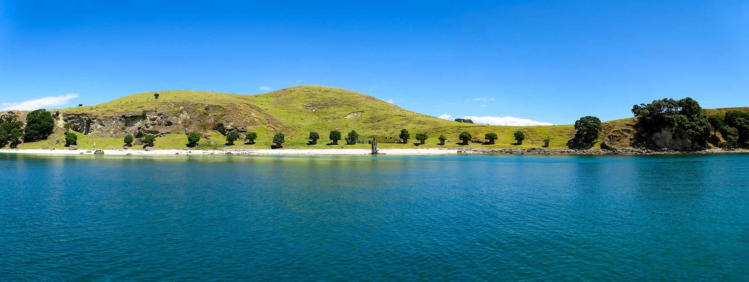 Private Helicopter Island Picnic from Auckland