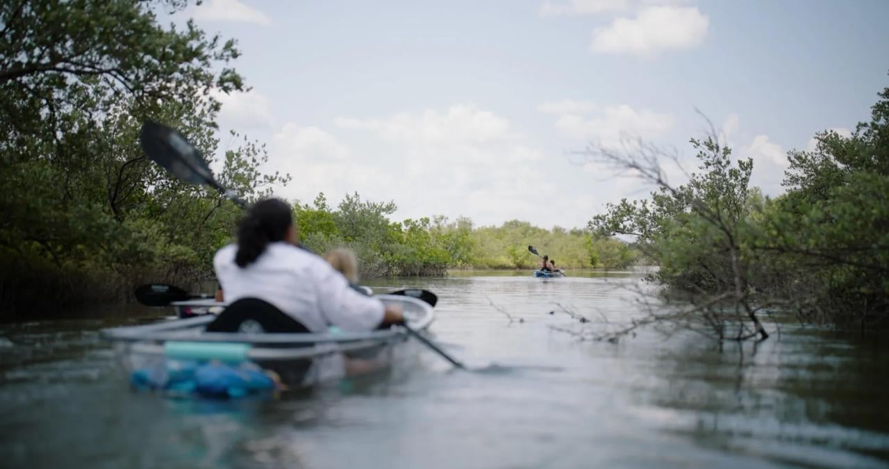 Clear Kayak Wildlife Adventure in New Smyrna Beach