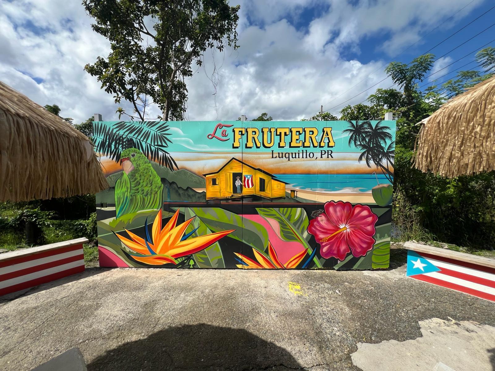 El Yunque Rainforest Adventure: Waterfalls, Slides & Luquillo Beach