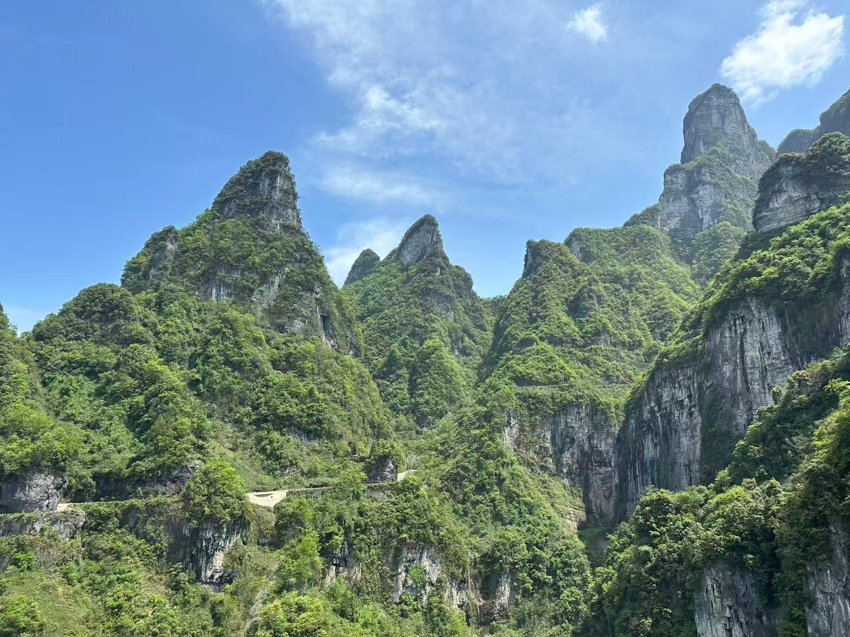 Zhangjiajie National Forest Park: Multi-Day Entry Ticket