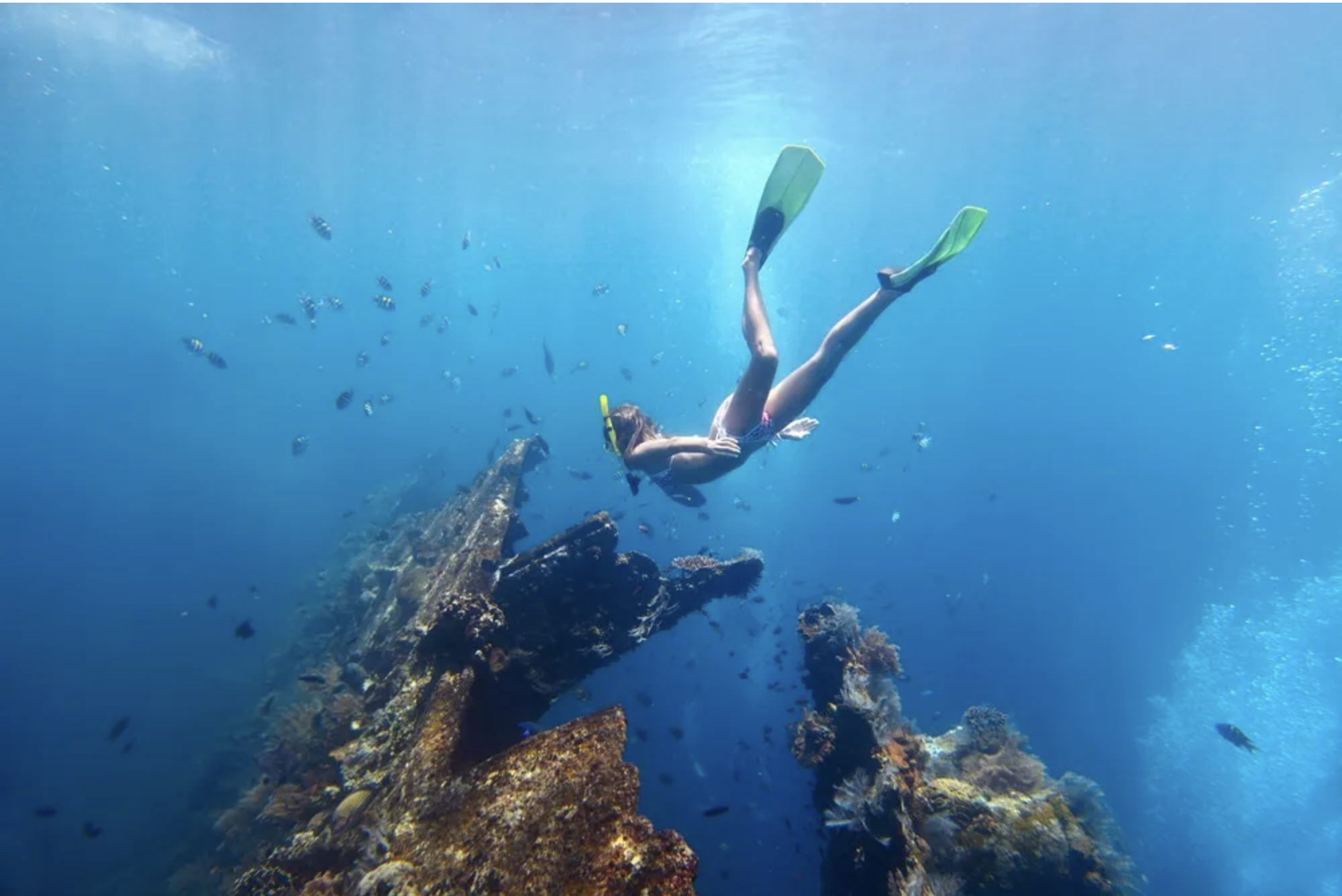 Coron WWII Wrecks & Reefs Snorkeling Tour