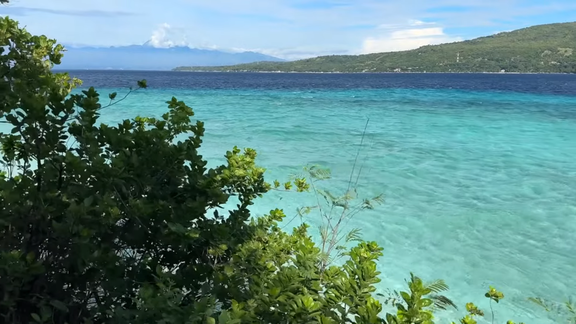 Oslob Triple Adventure: Whale Sharks, Tumalog Falls & Sumilon Island